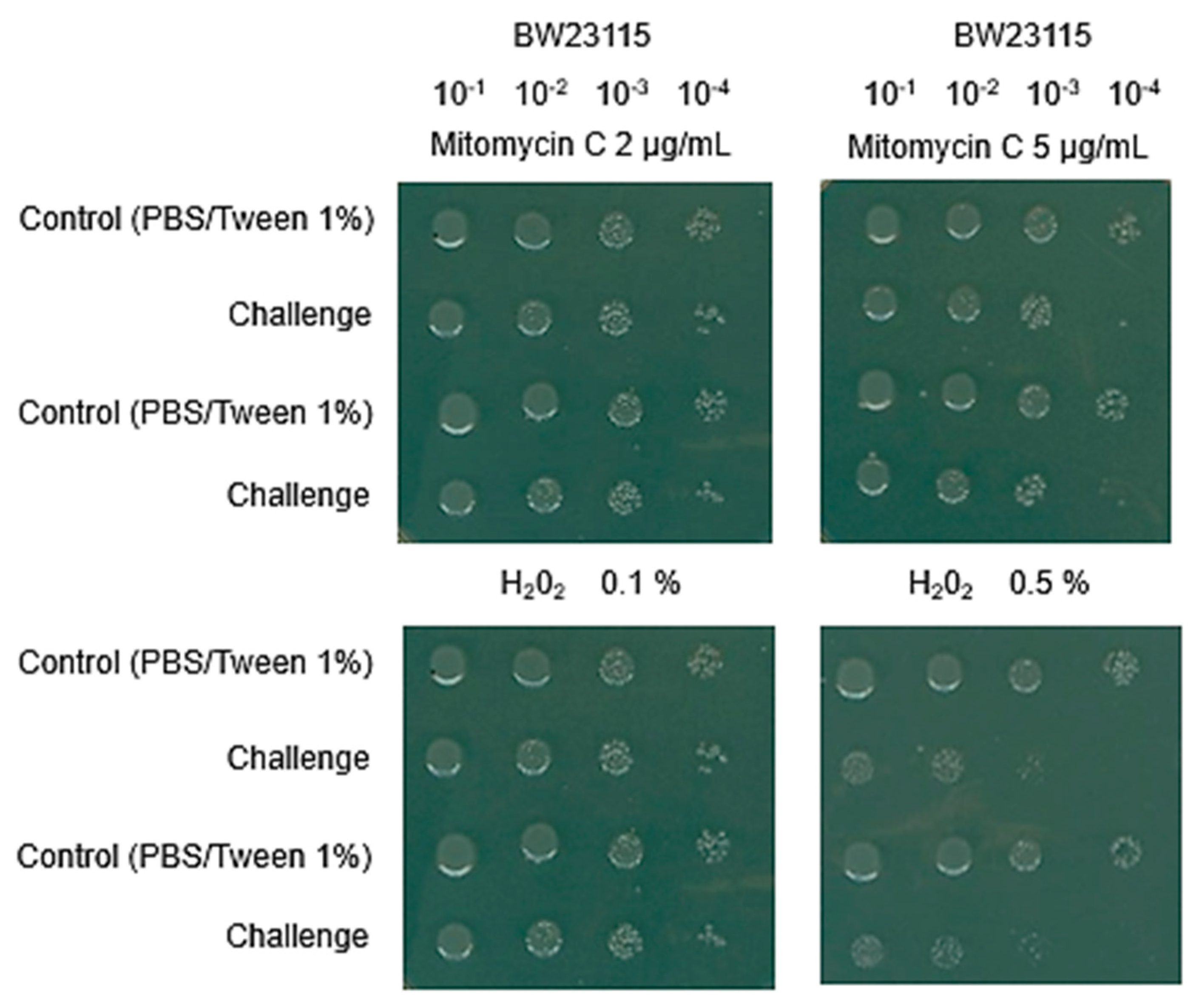 Microorganisms 12 00793 g001 Microorganisms 12 00793 g001