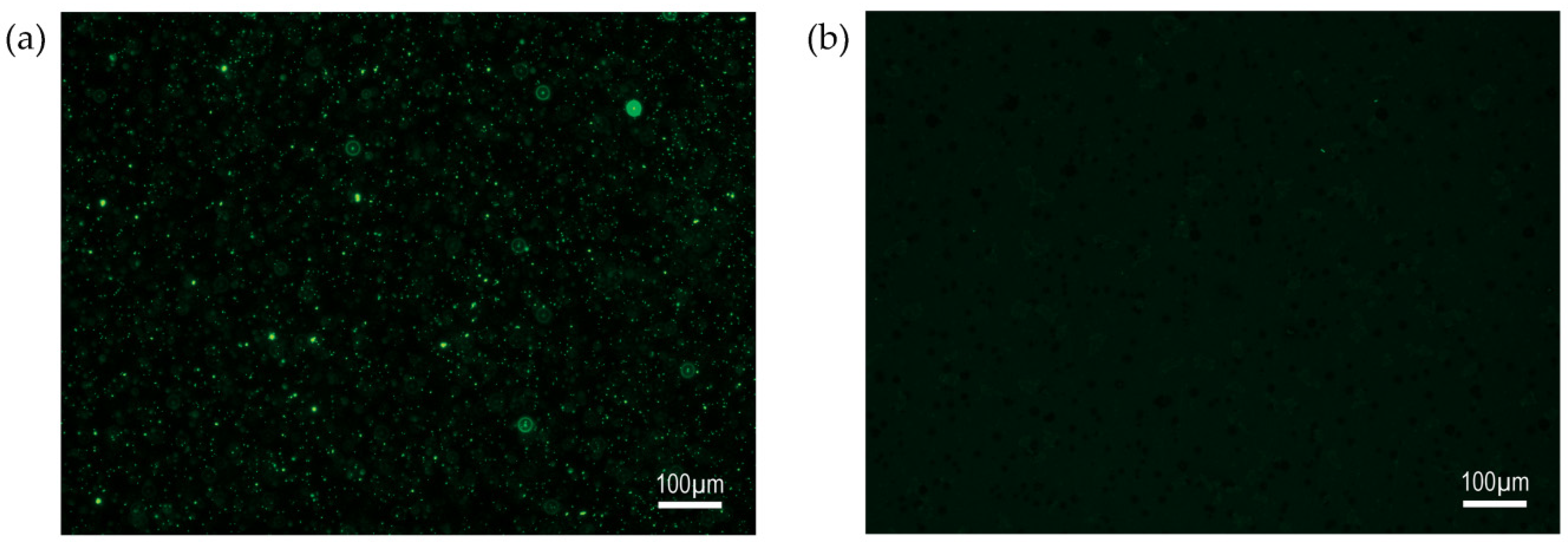 Microorganisms 12 00801 g001 Microorganisms 12 00801 g001