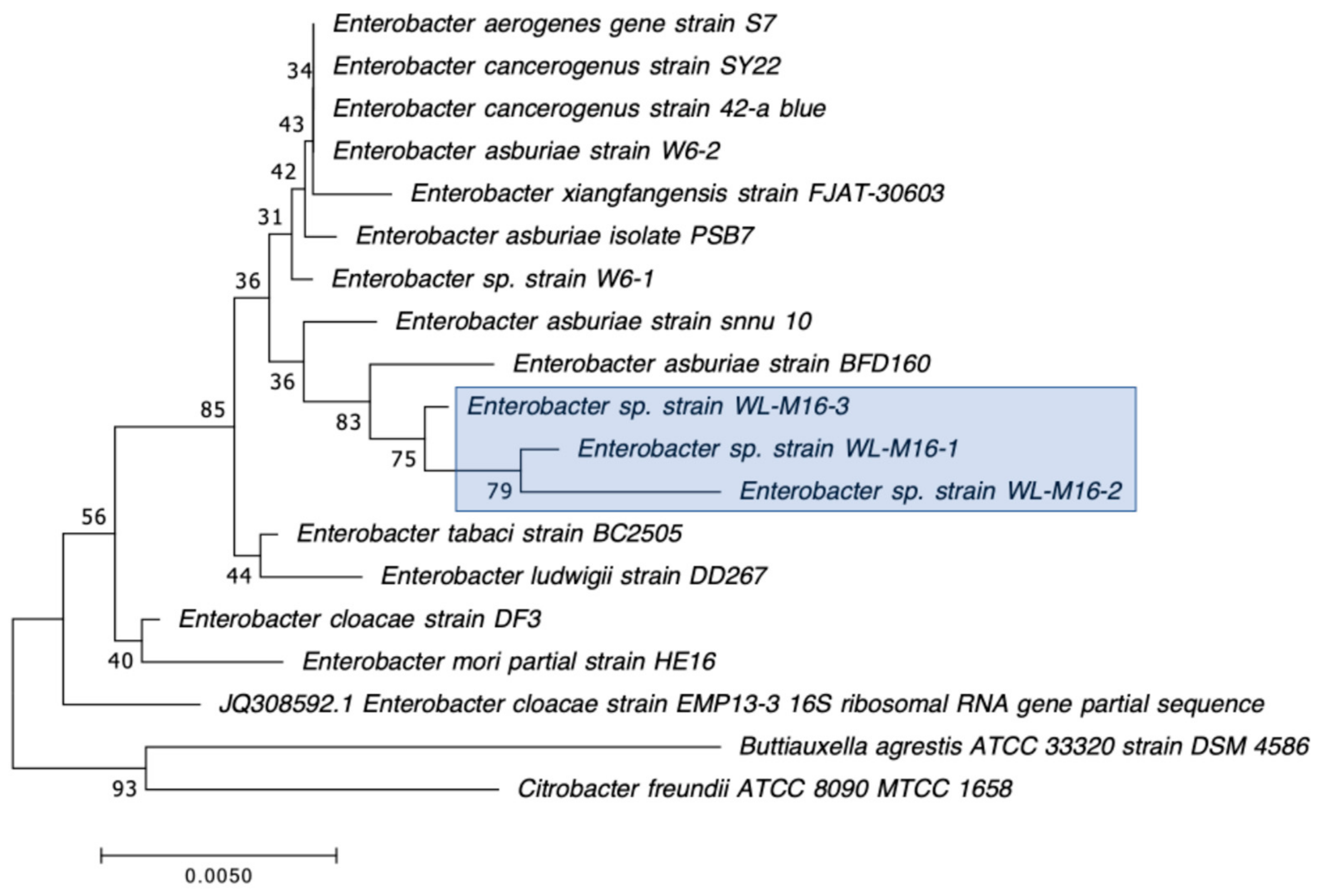 Microorganisms 12 00802 g004 Microorganisms 12 00802 g004