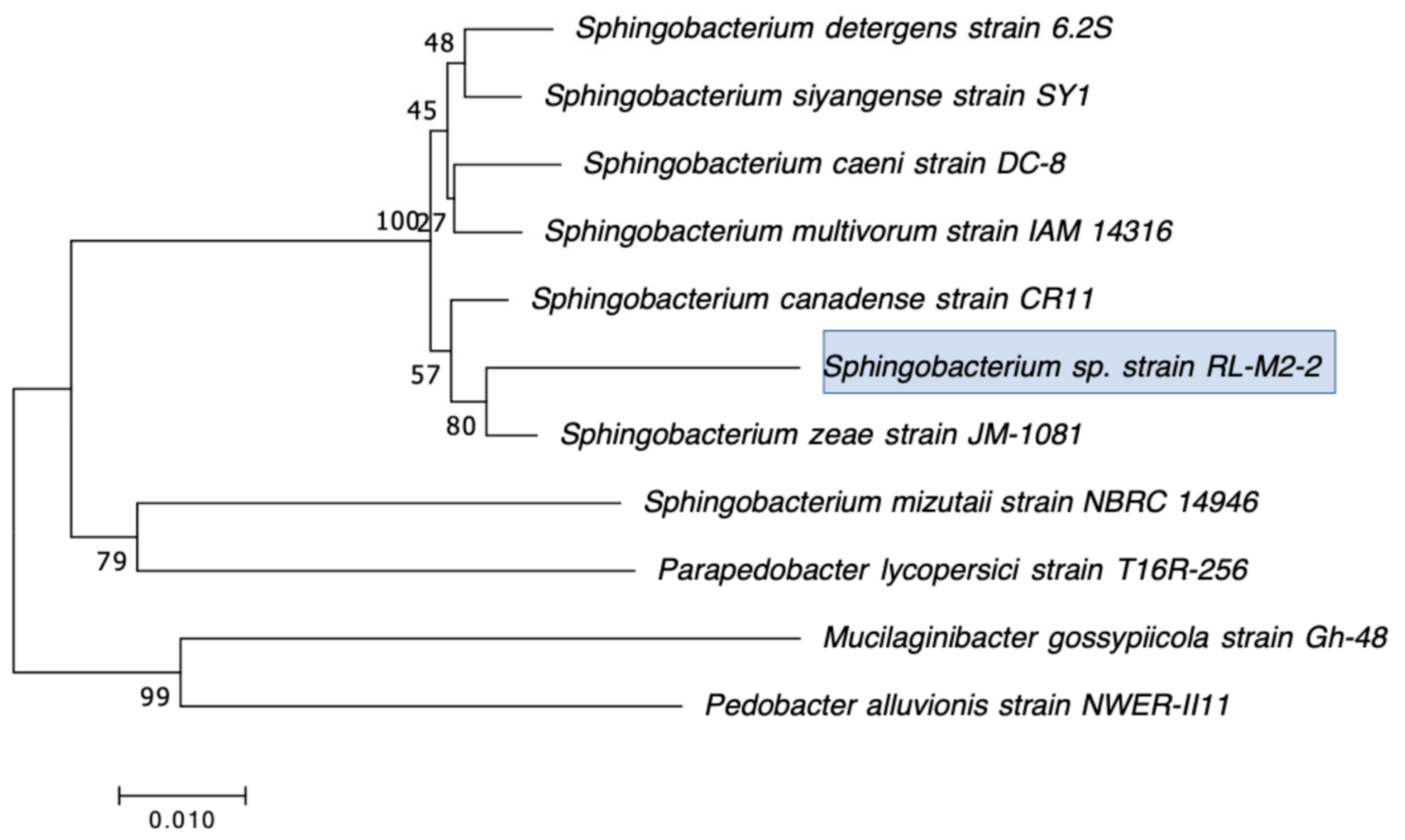 Microorganisms 12 00802 g006 Microorganisms 12 00802 g006