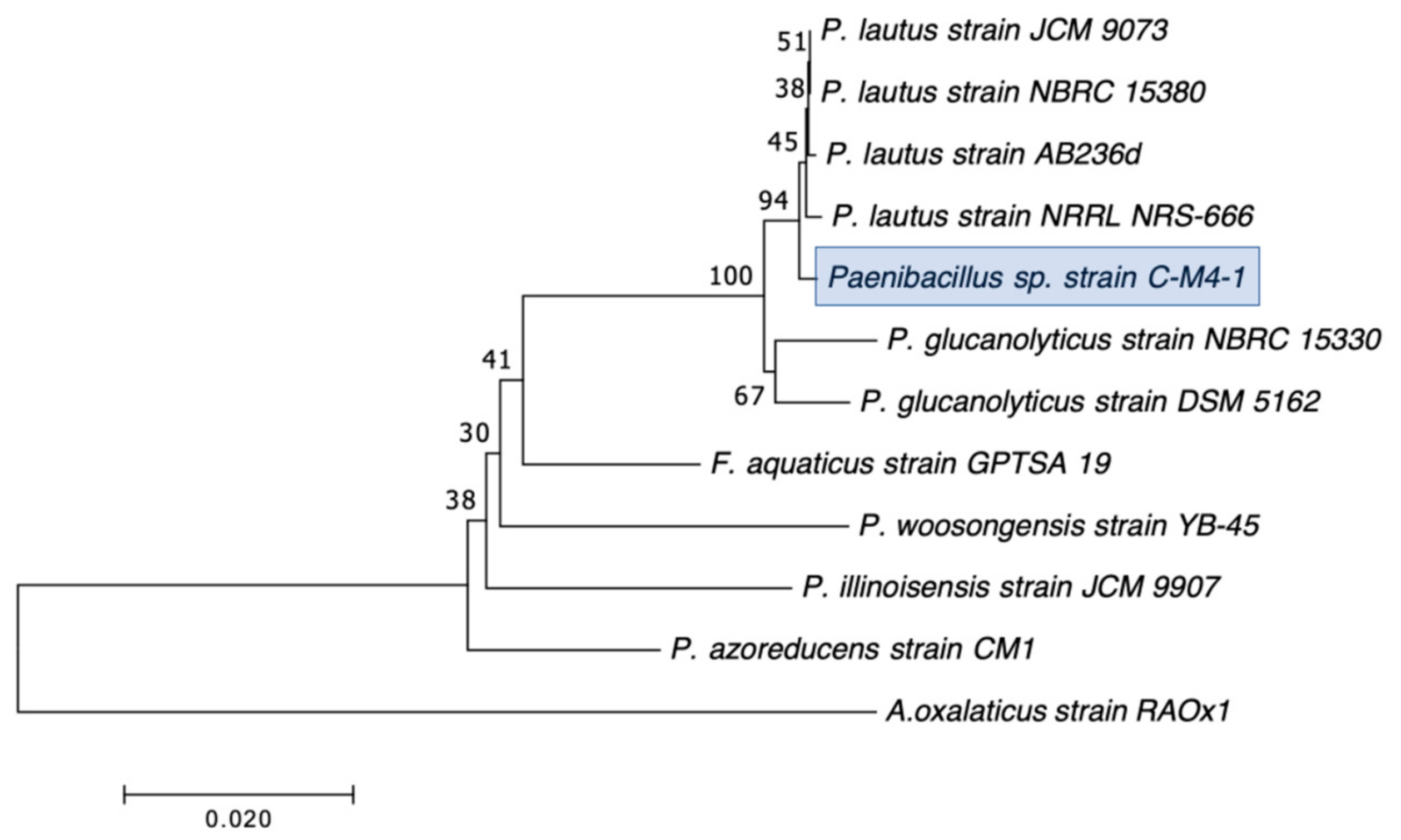 Microorganisms 12 00802 g008 Microorganisms 12 00802 g008