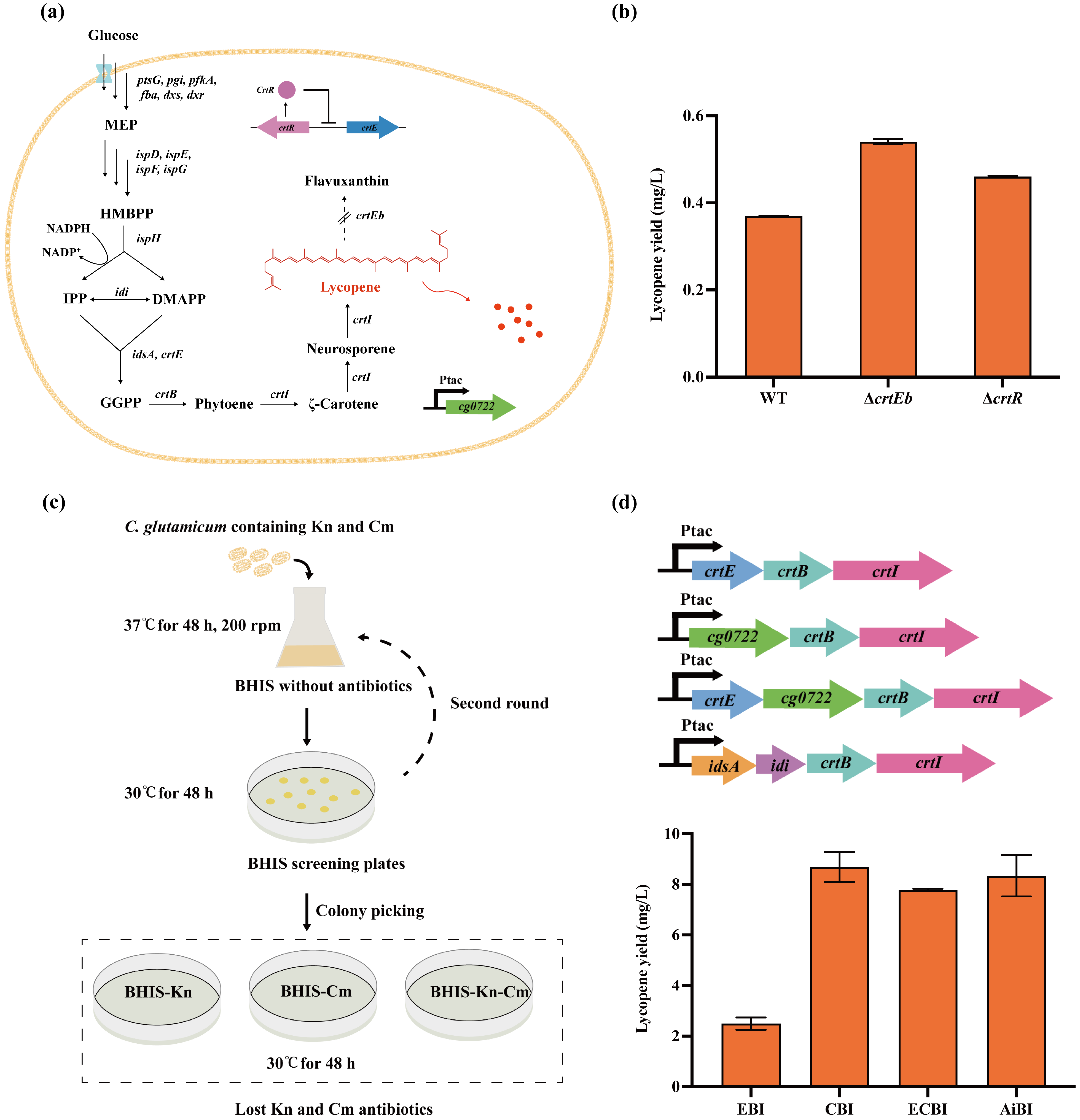 Microorganisms 12 00803 g004