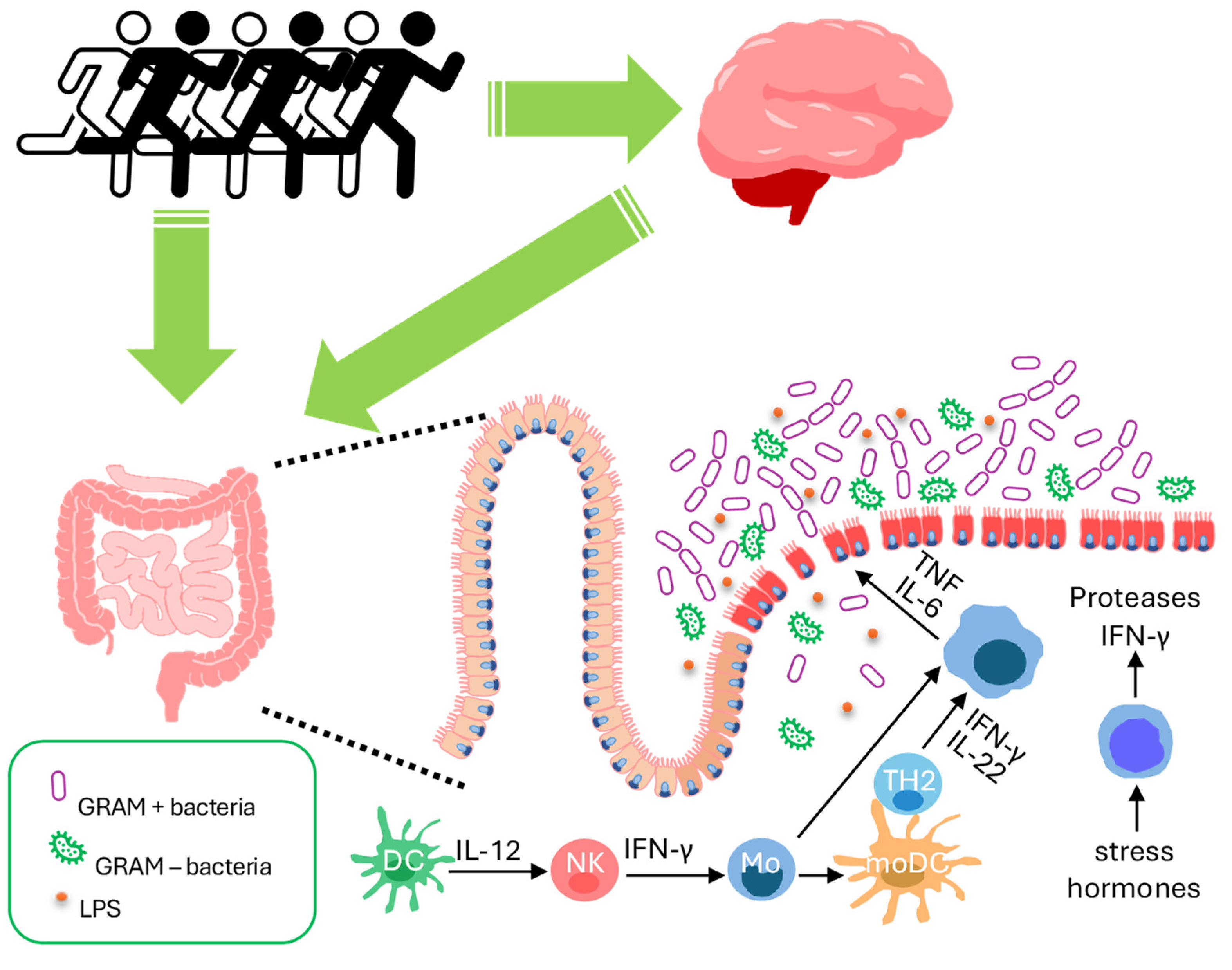 Microorganisms 12 00804 g002