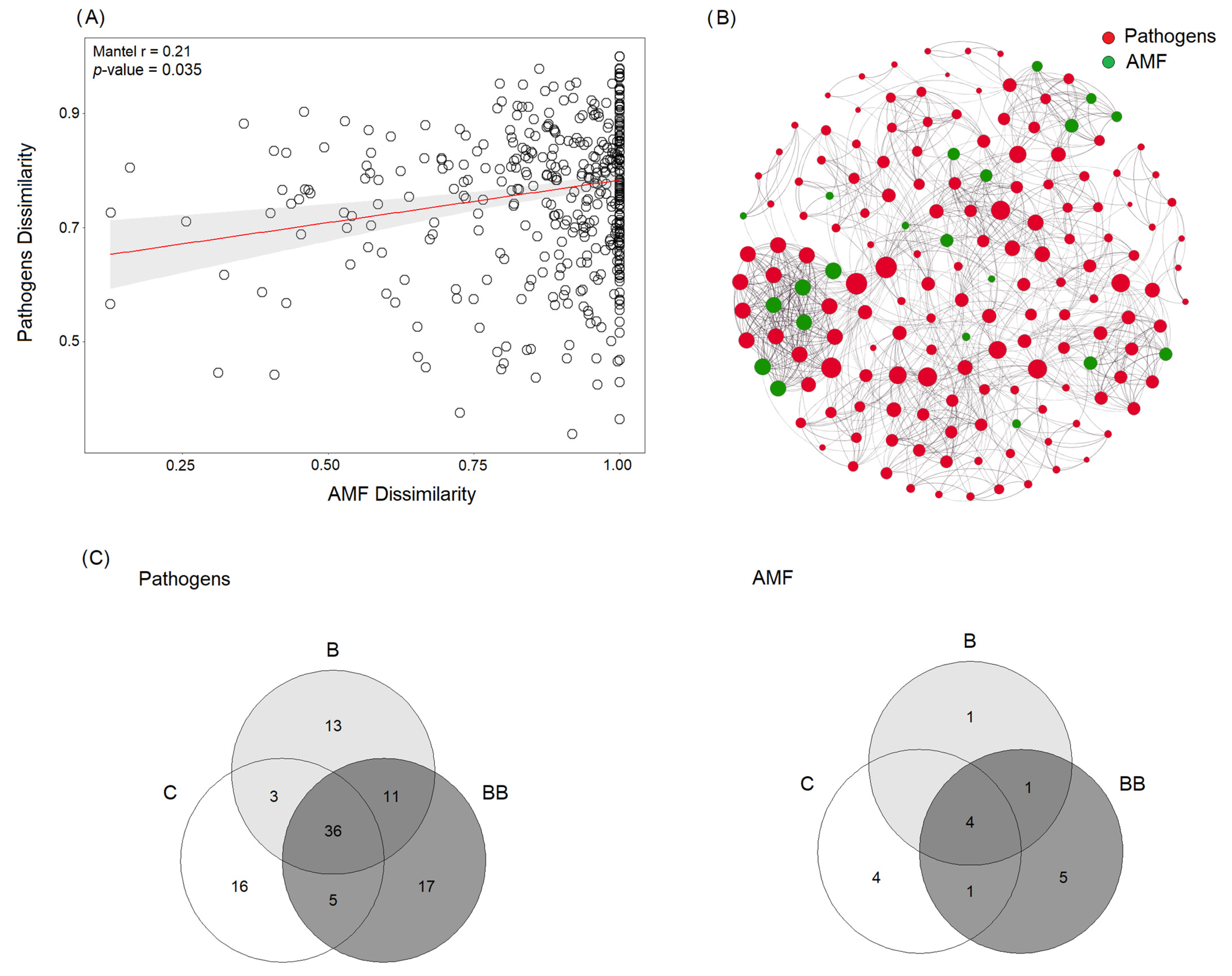 Microorganisms 12 00810 g003
