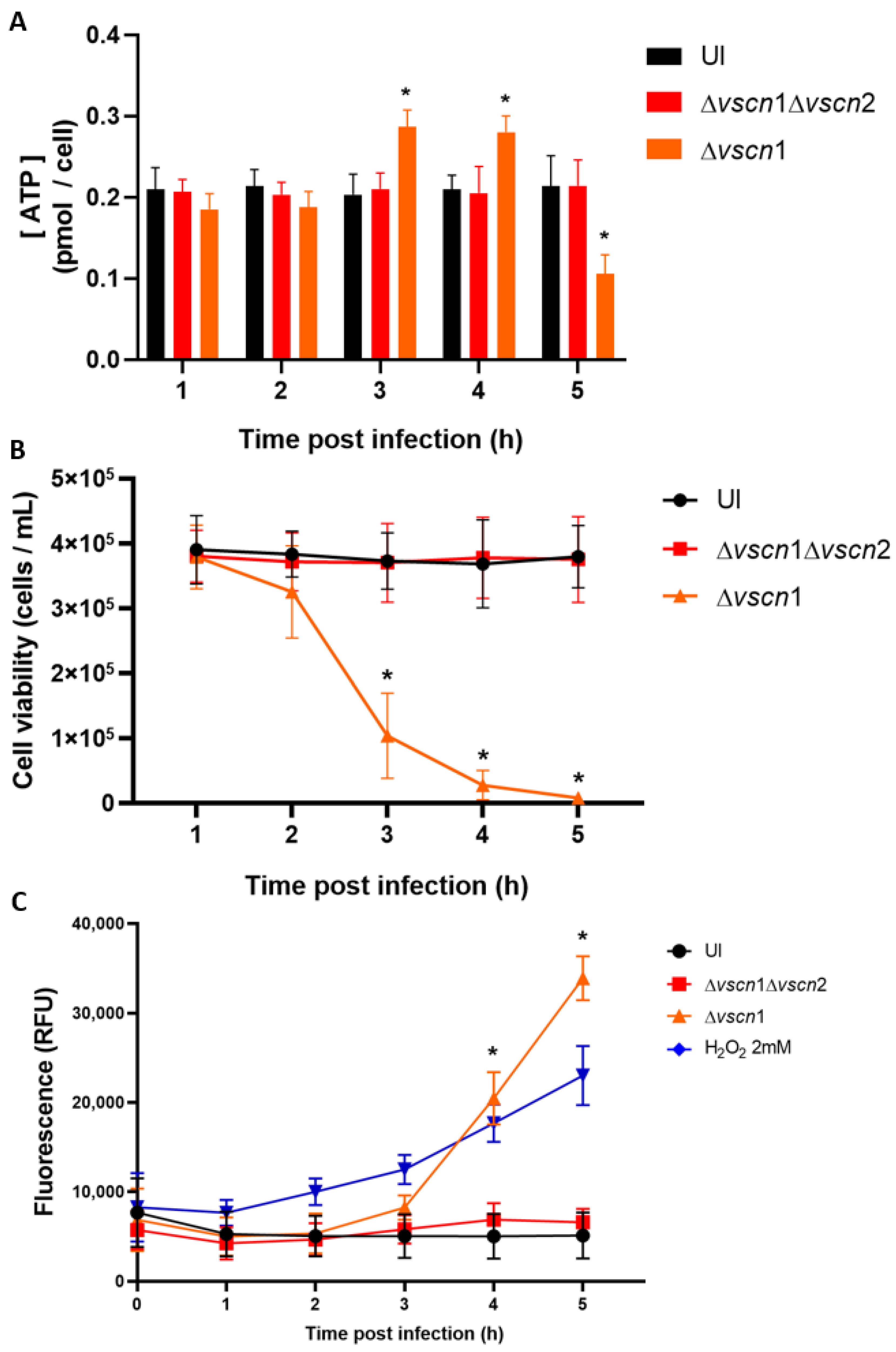 Microorganisms 12 00813 g003