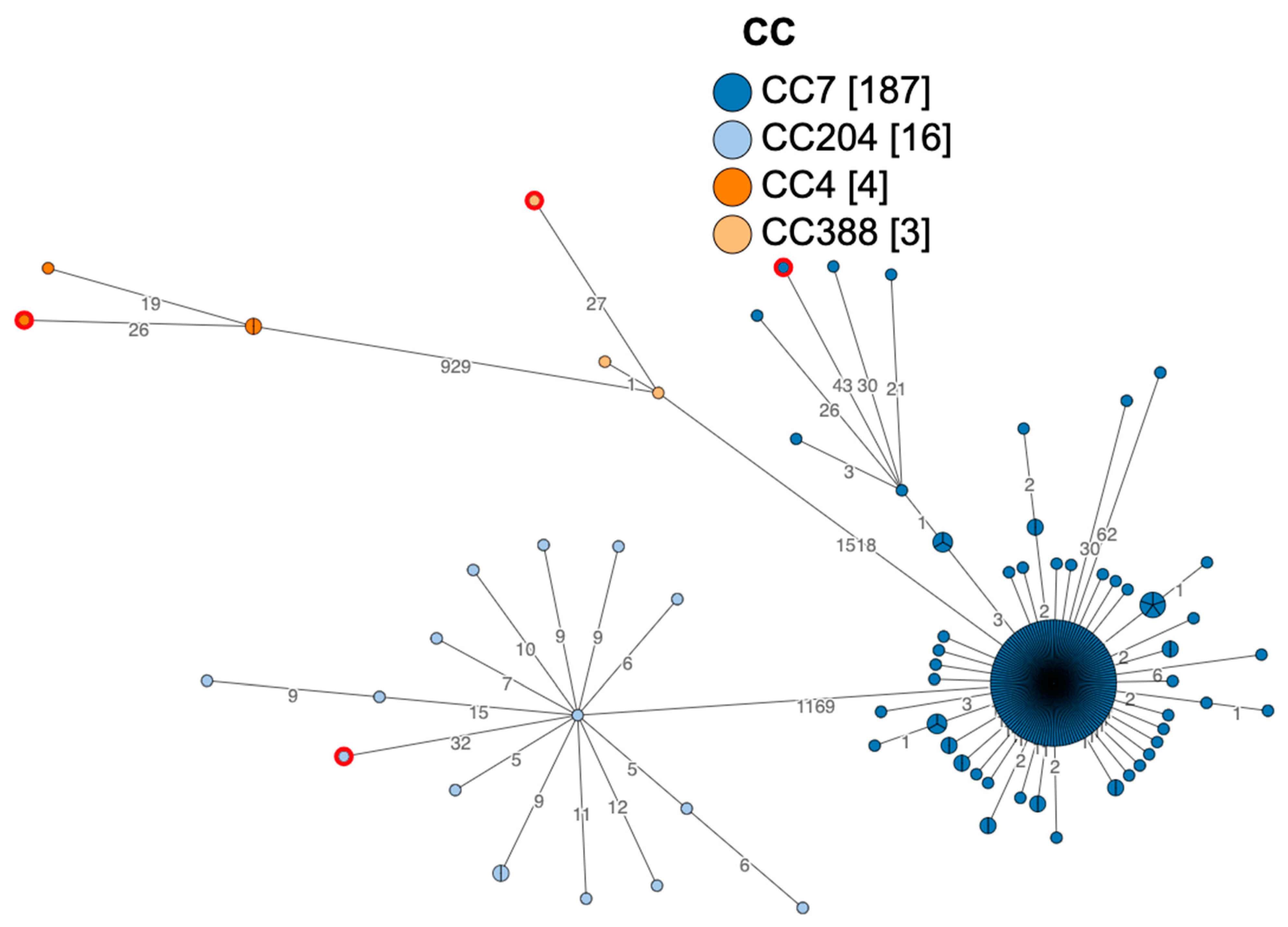 Microorganisms 12 00817 g001