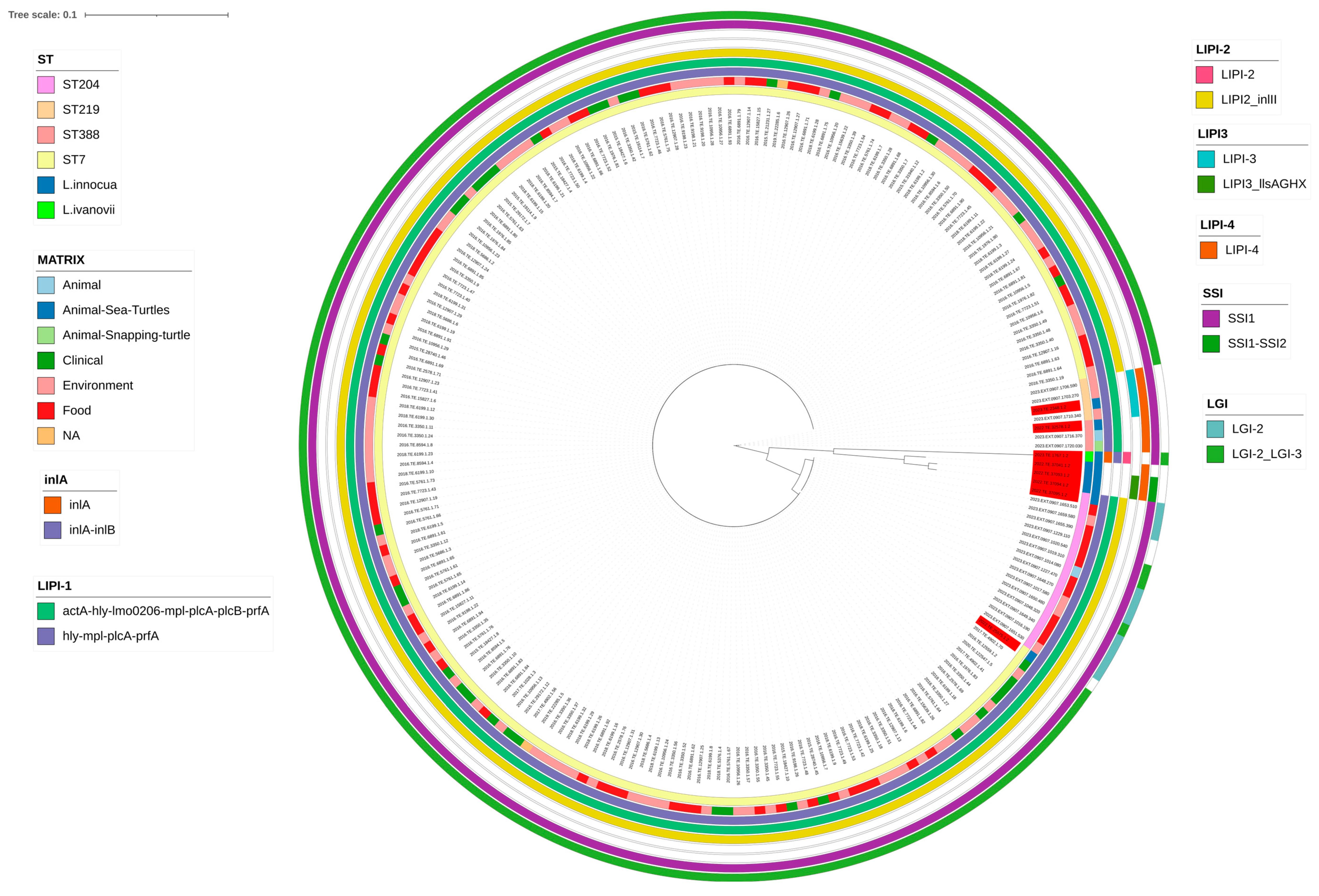 Microorganisms 12 00817 g002