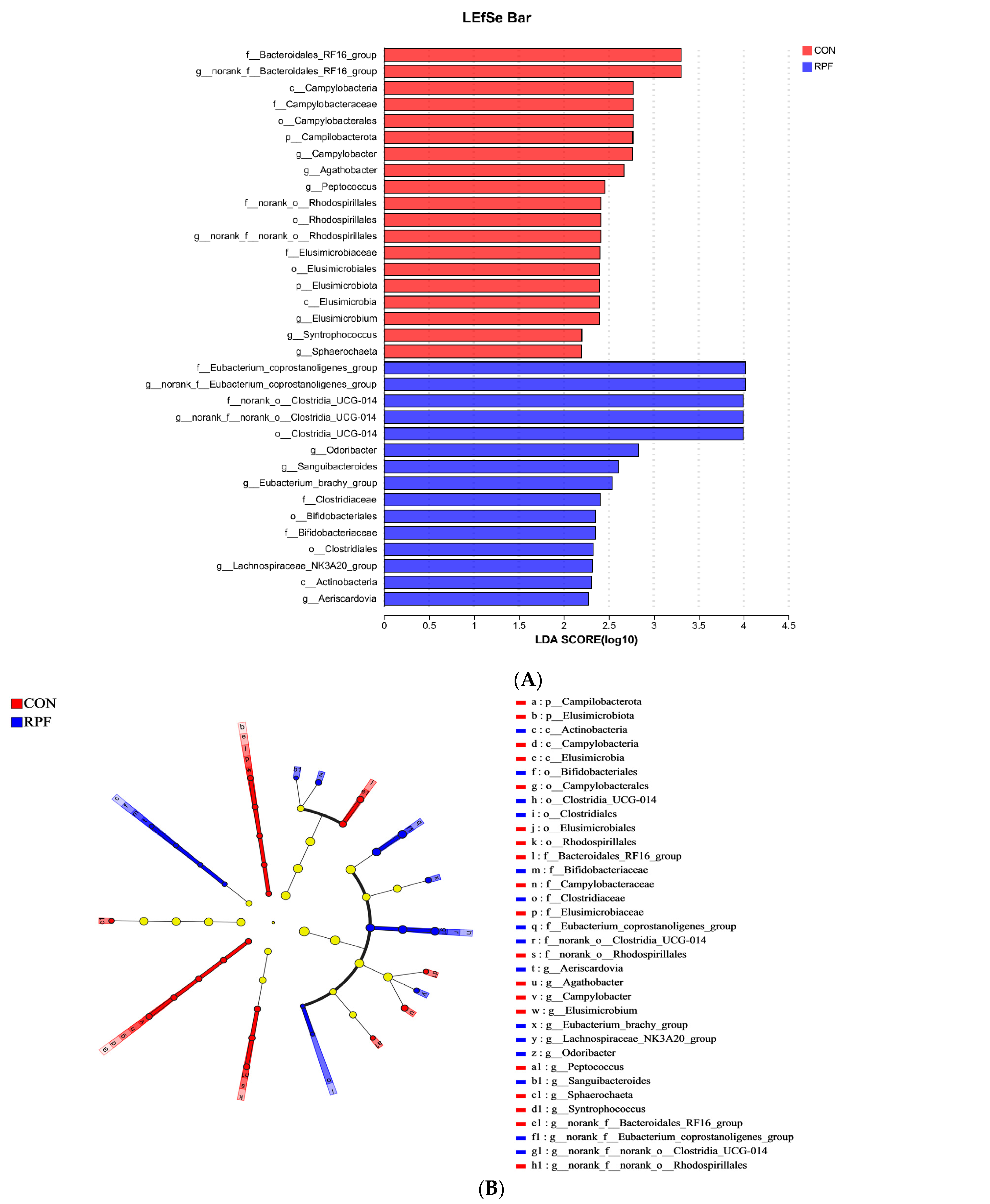 Microorganisms 12 00822 g004