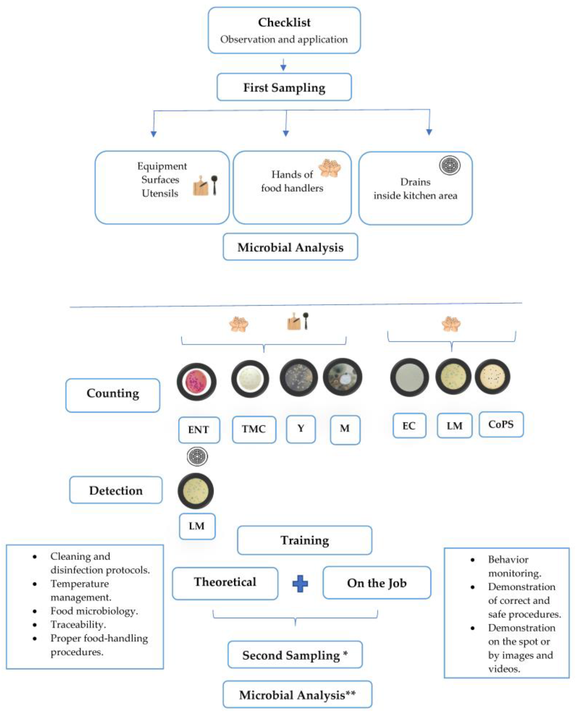 Microorganisms 12 00825 g001