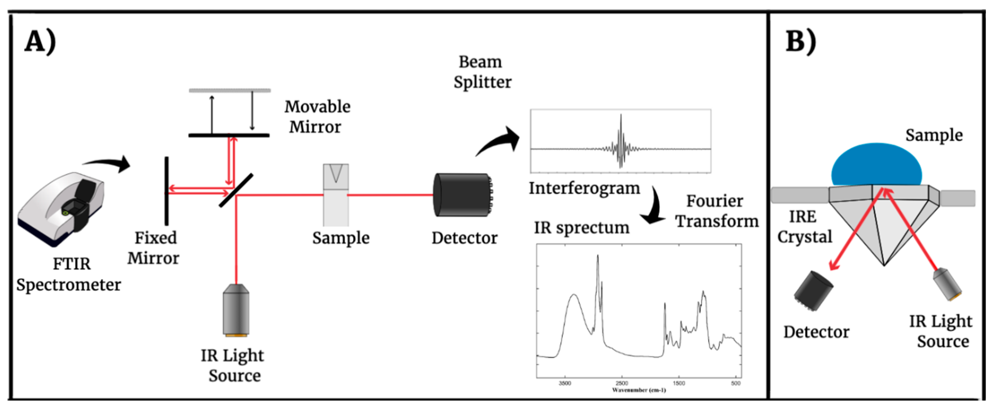 Microorganisms 12 00833 g001 Microorganisms 12 00833 g001