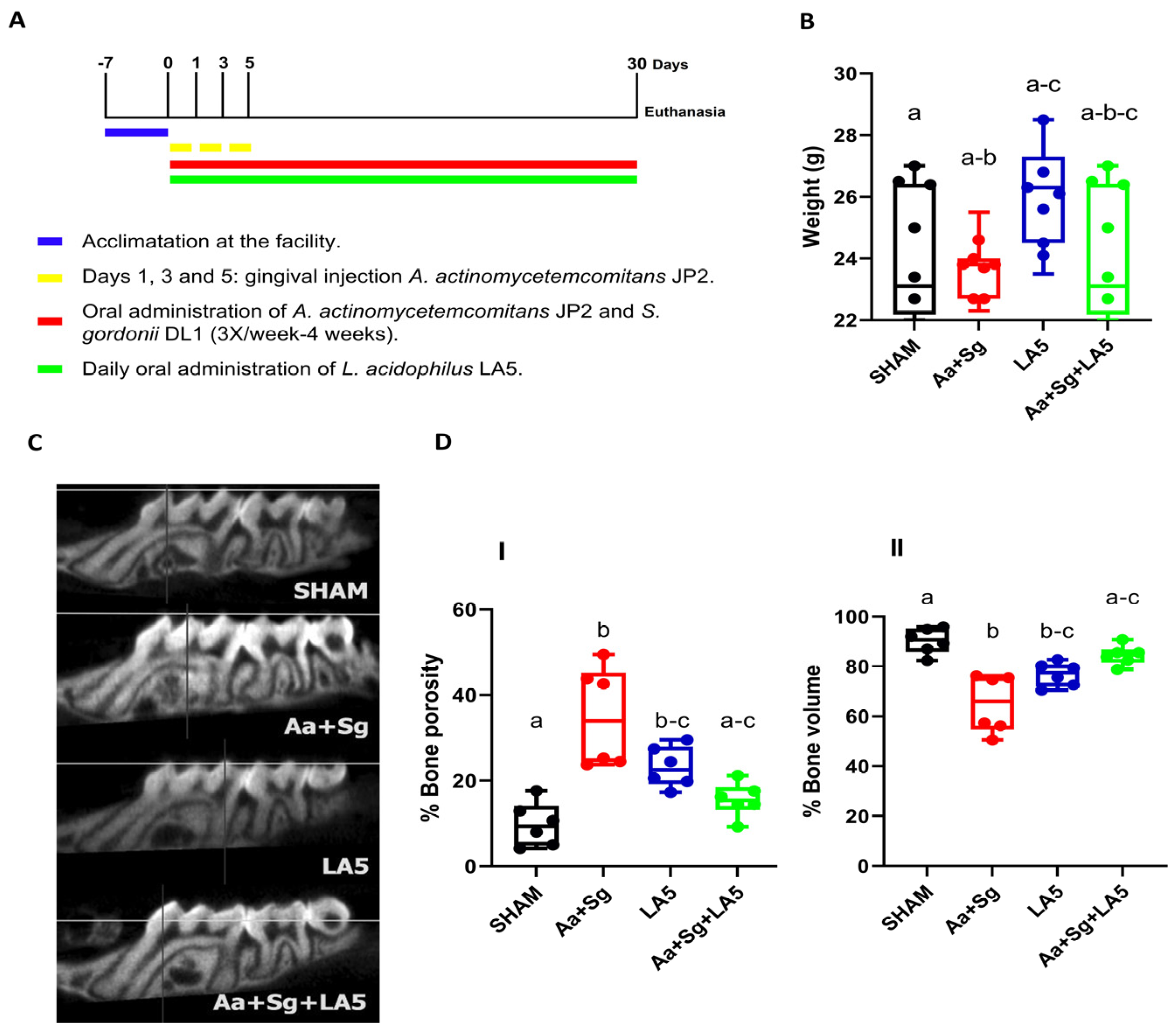 Microorganisms 12 00836 g001