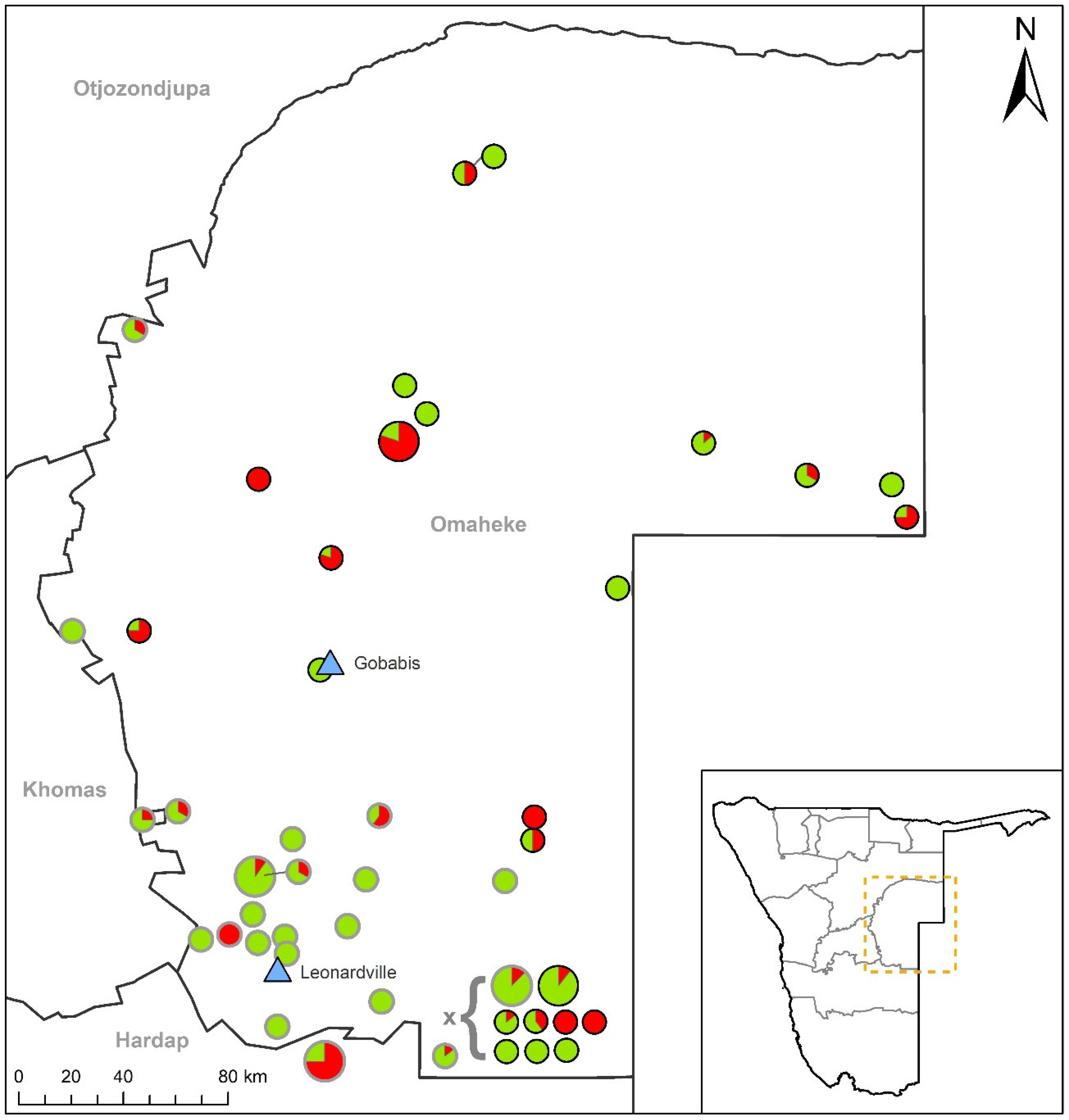 Microorganisms 12 00838 g001