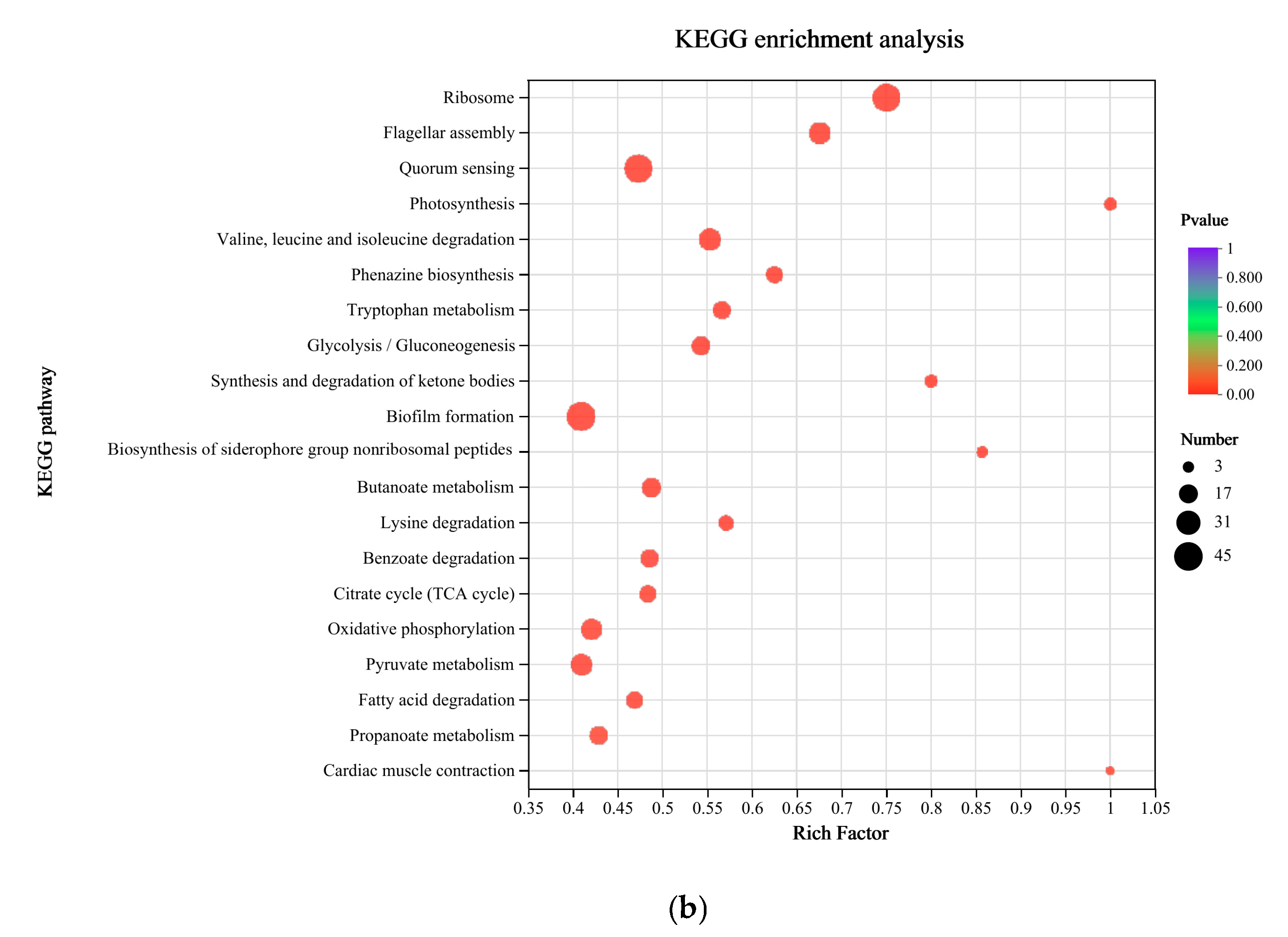 Microorganisms 12 00841 g005b Microorganisms 12 00841 g005b