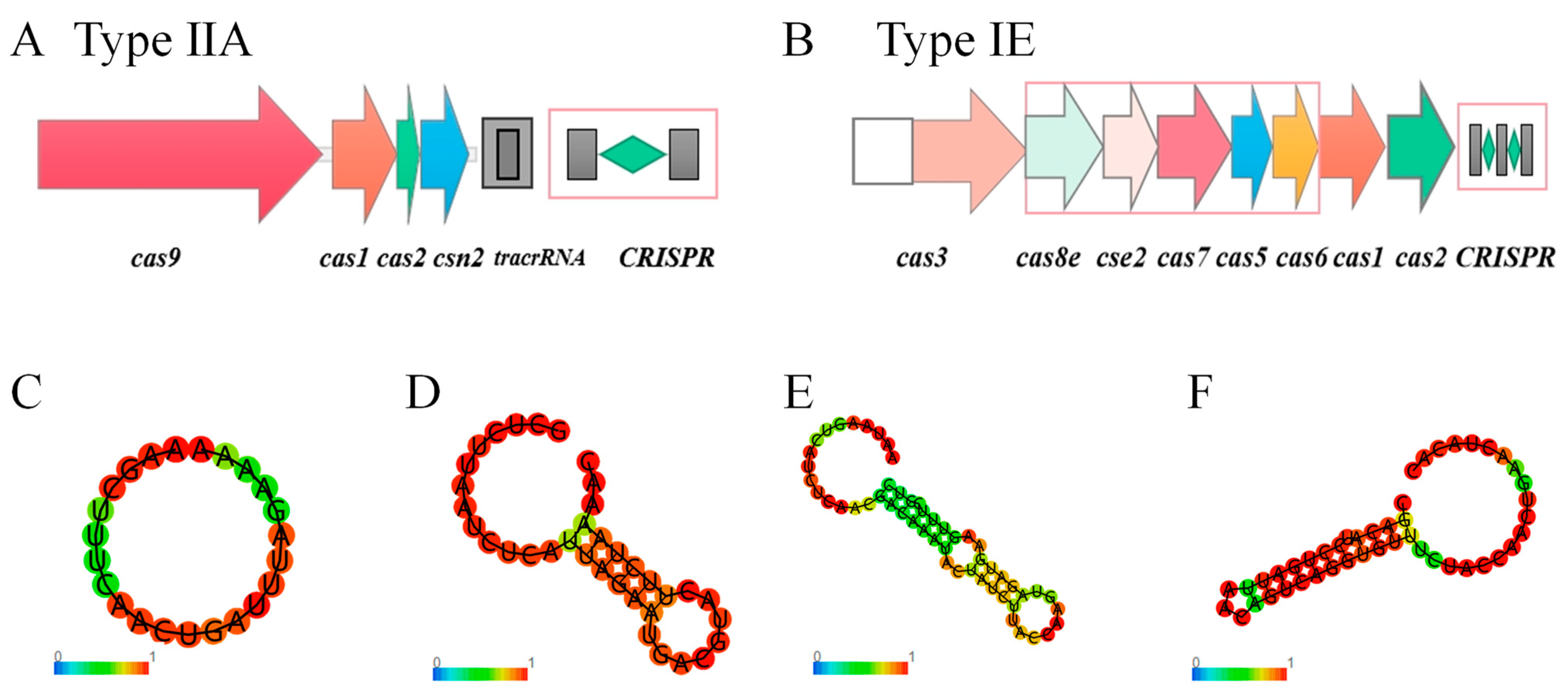 Microorganisms 12 00845 g006 Microorganisms 12 00845 g006