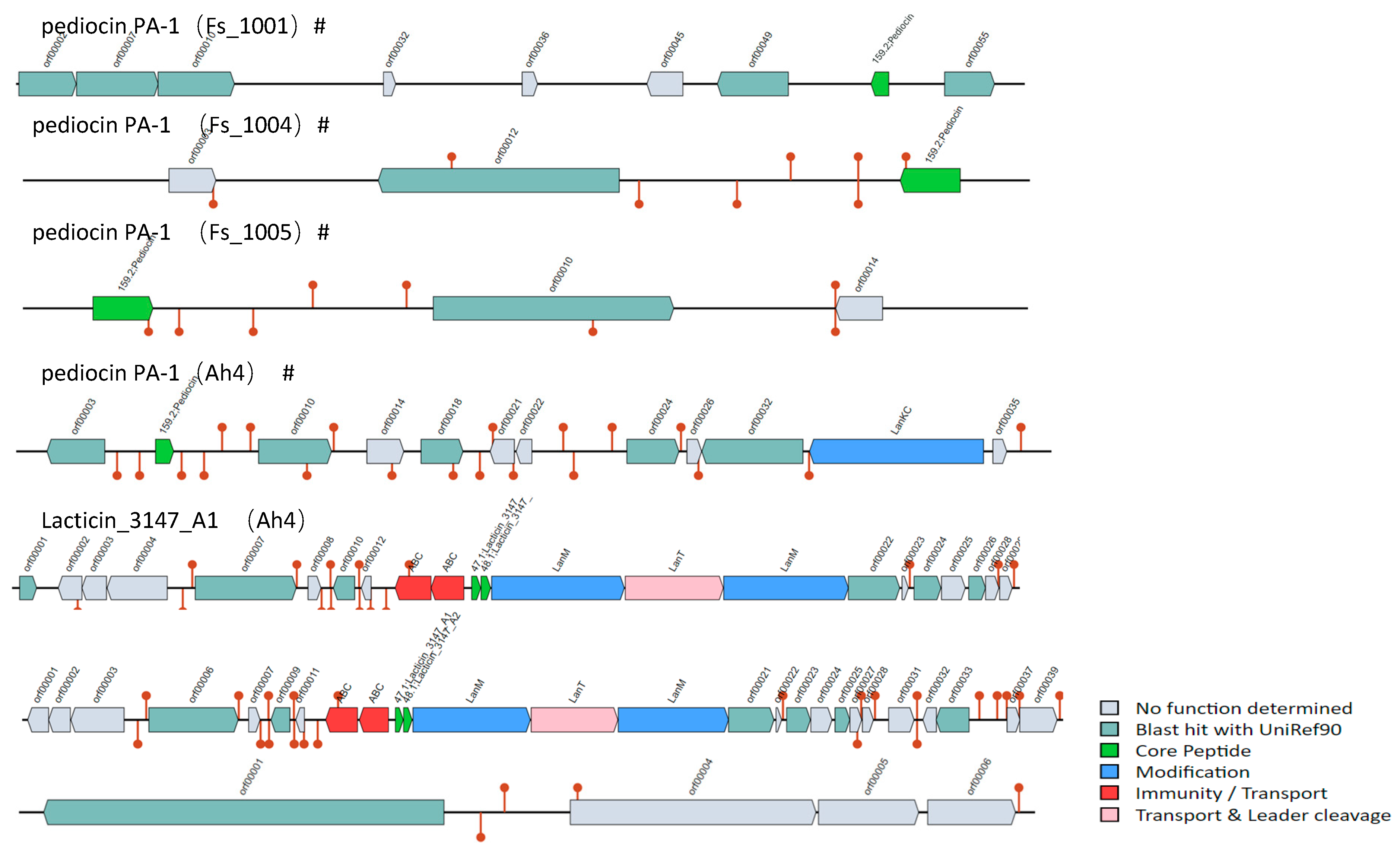 Microorganisms 12 00845 g007 Microorganisms 12 00845 g007