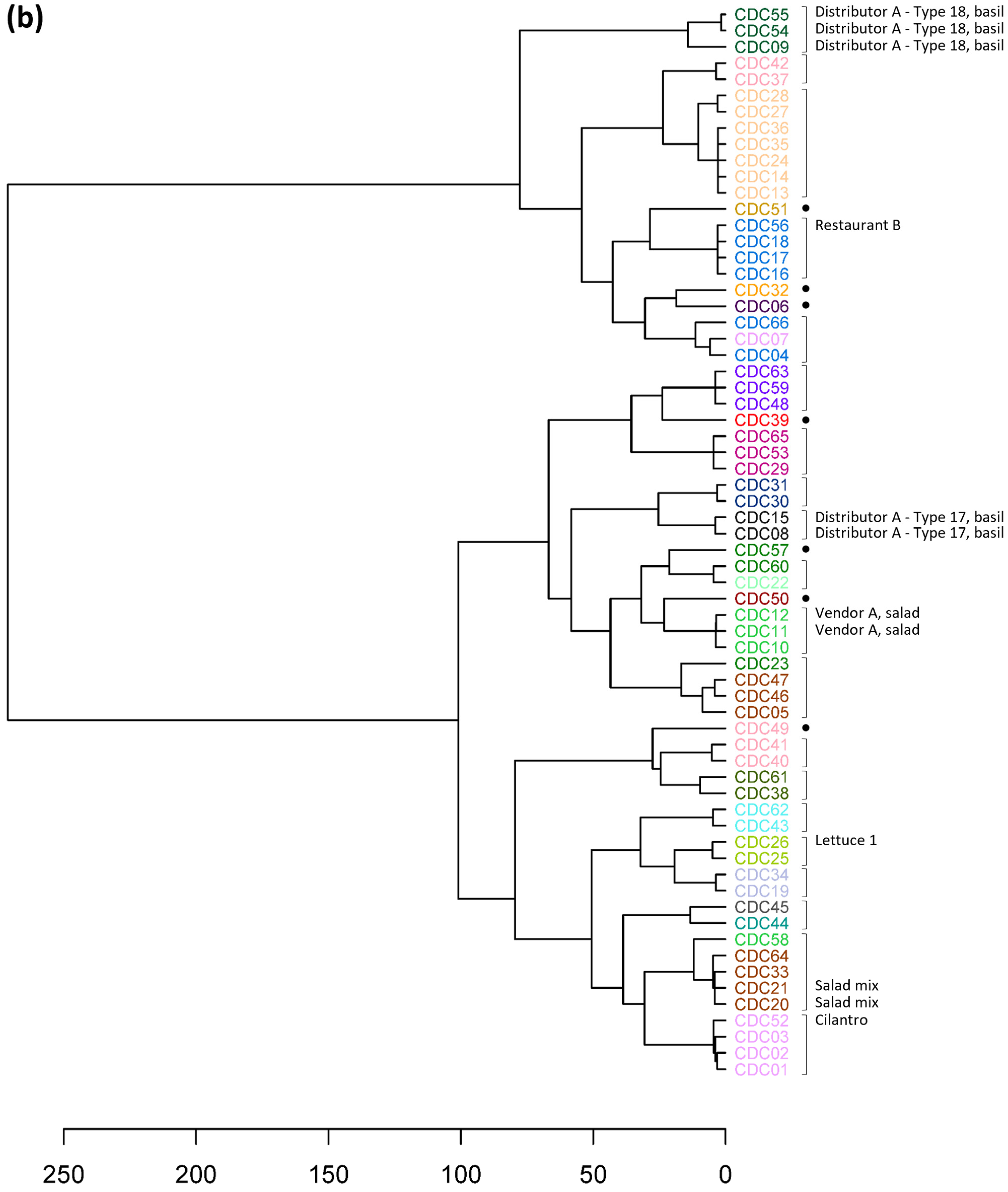 Microorganisms 12 00848 g001b