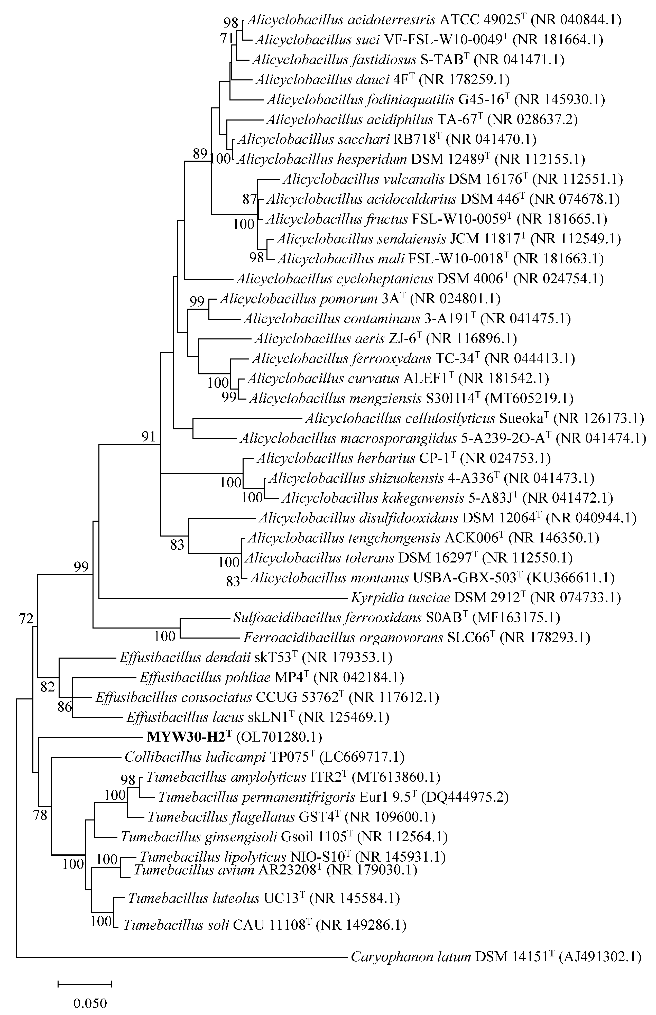 Microorganisms 12 00853 g003
