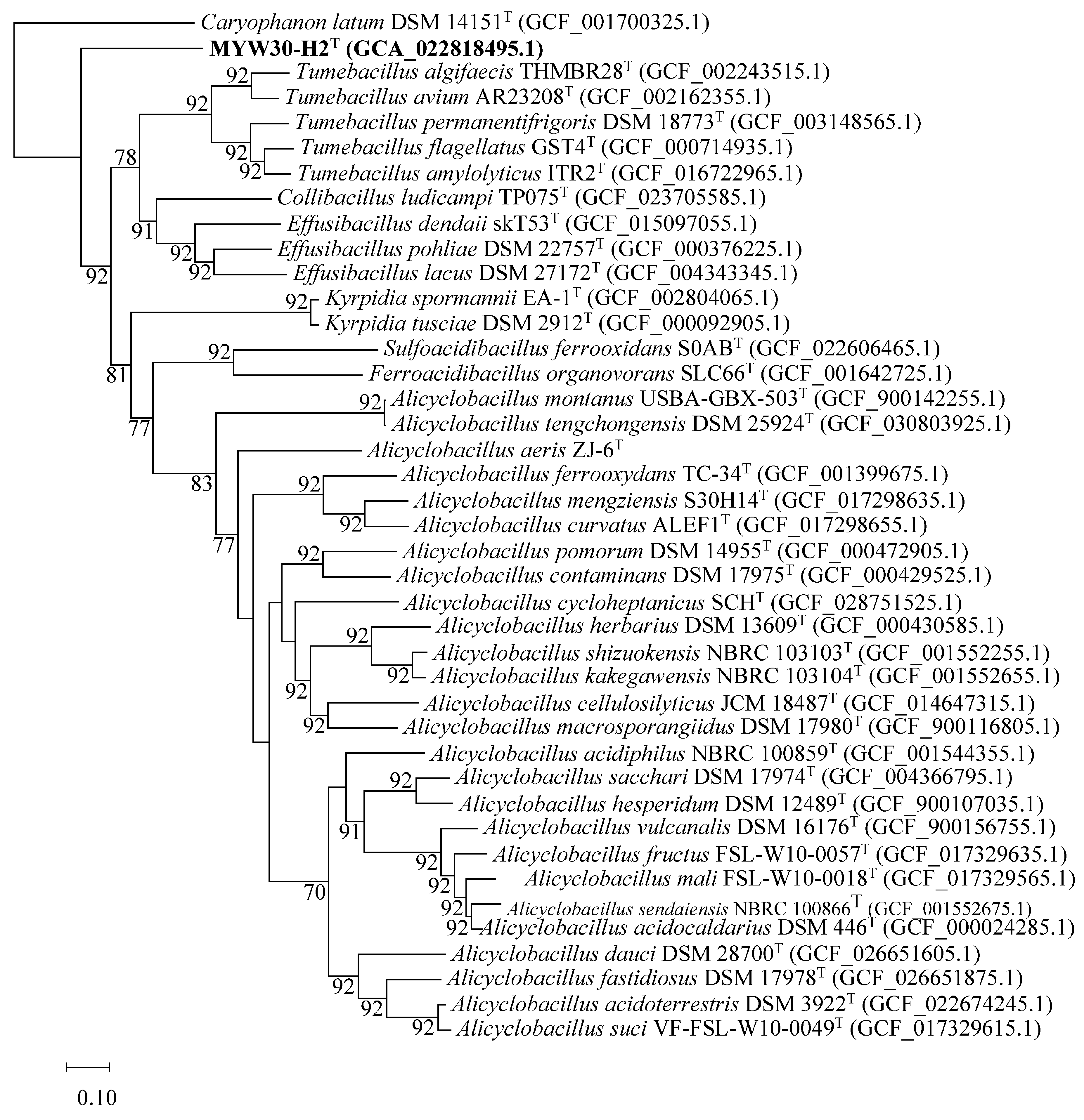 Microorganisms 12 00853 g004