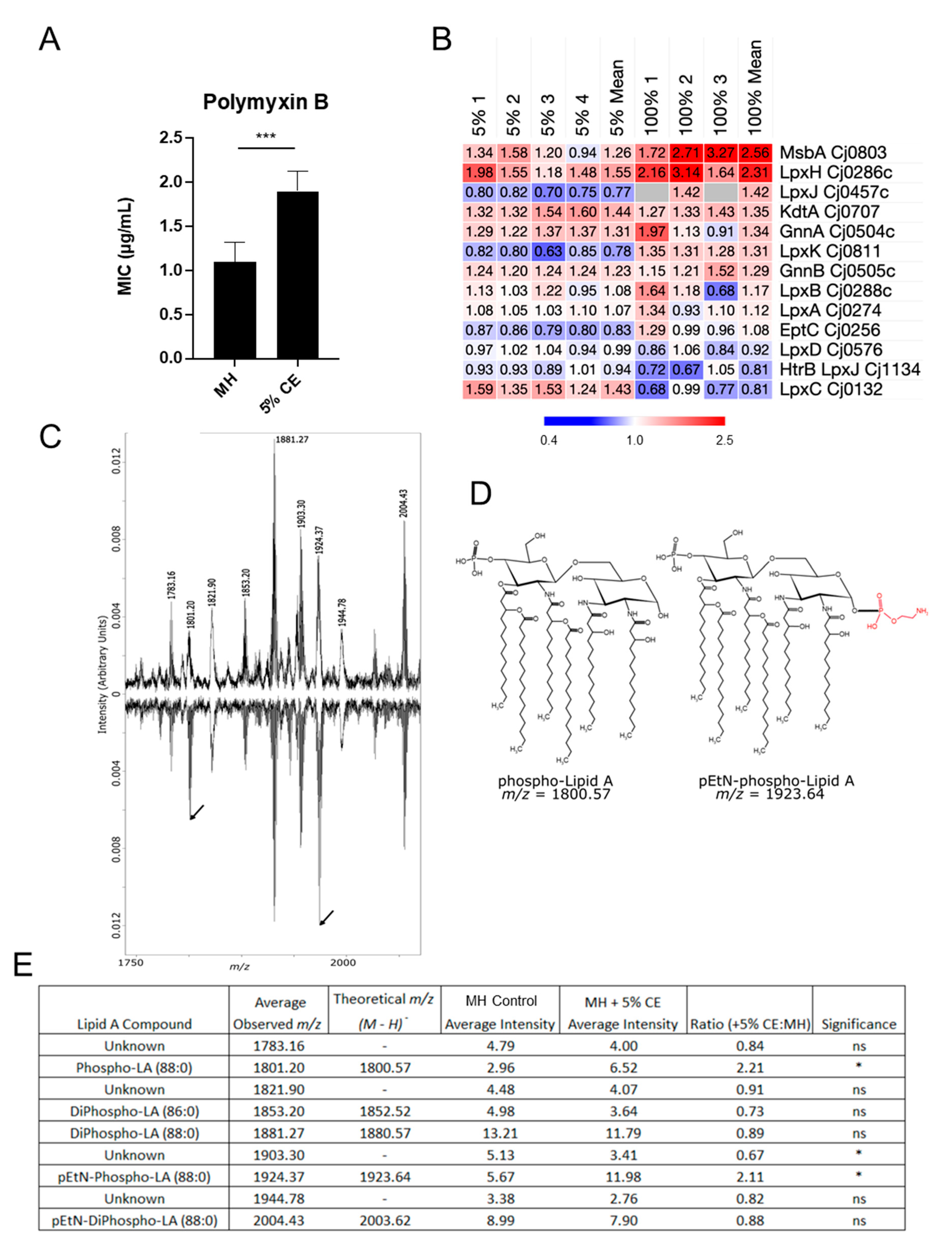 Microorganisms 12 00860 g004