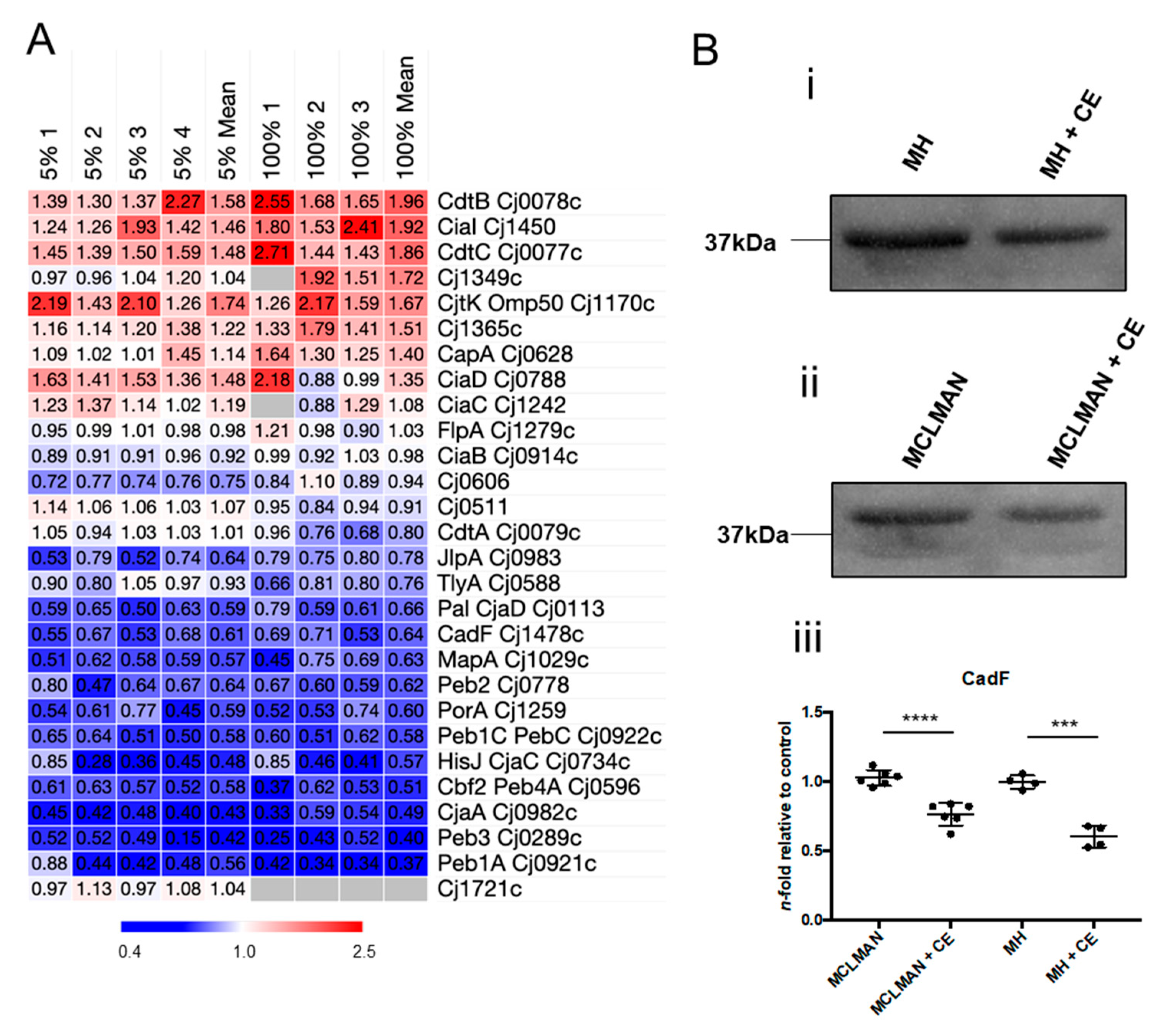 Microorganisms 12 00860 g008
