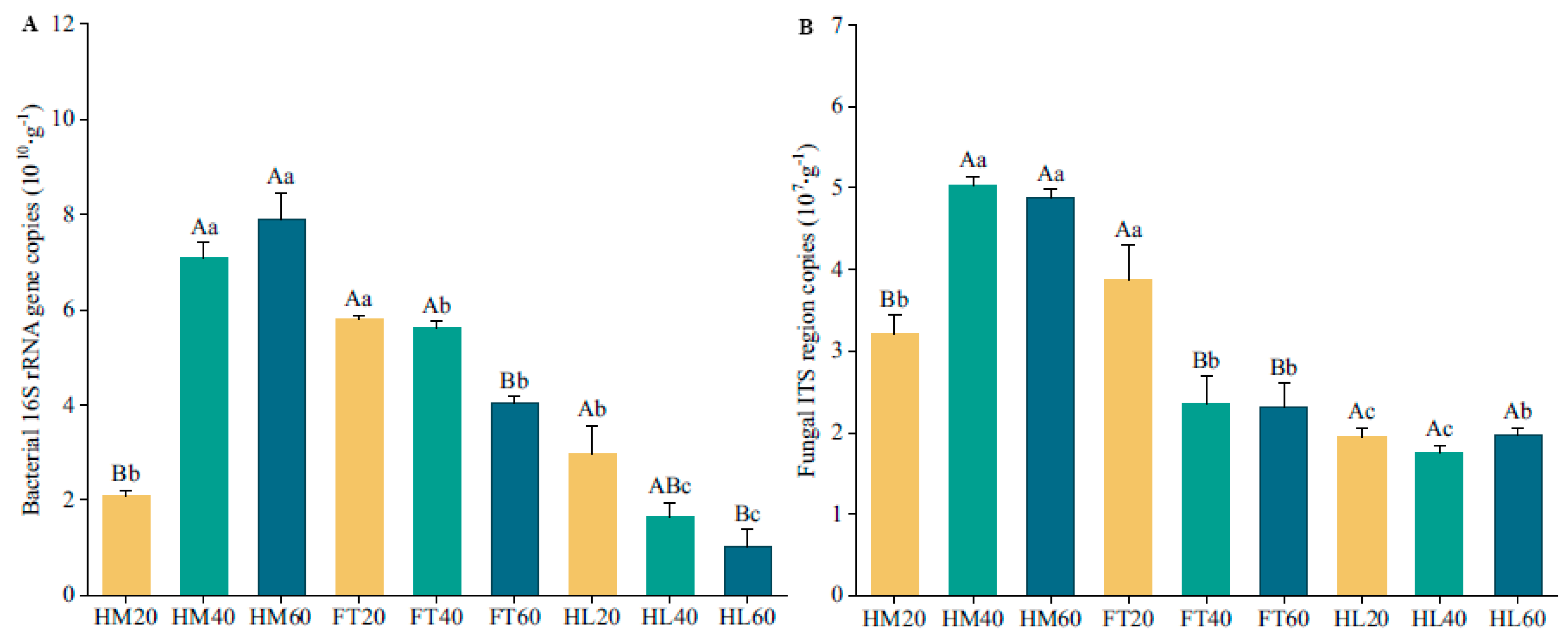 Microorganisms 12 00867 g005
