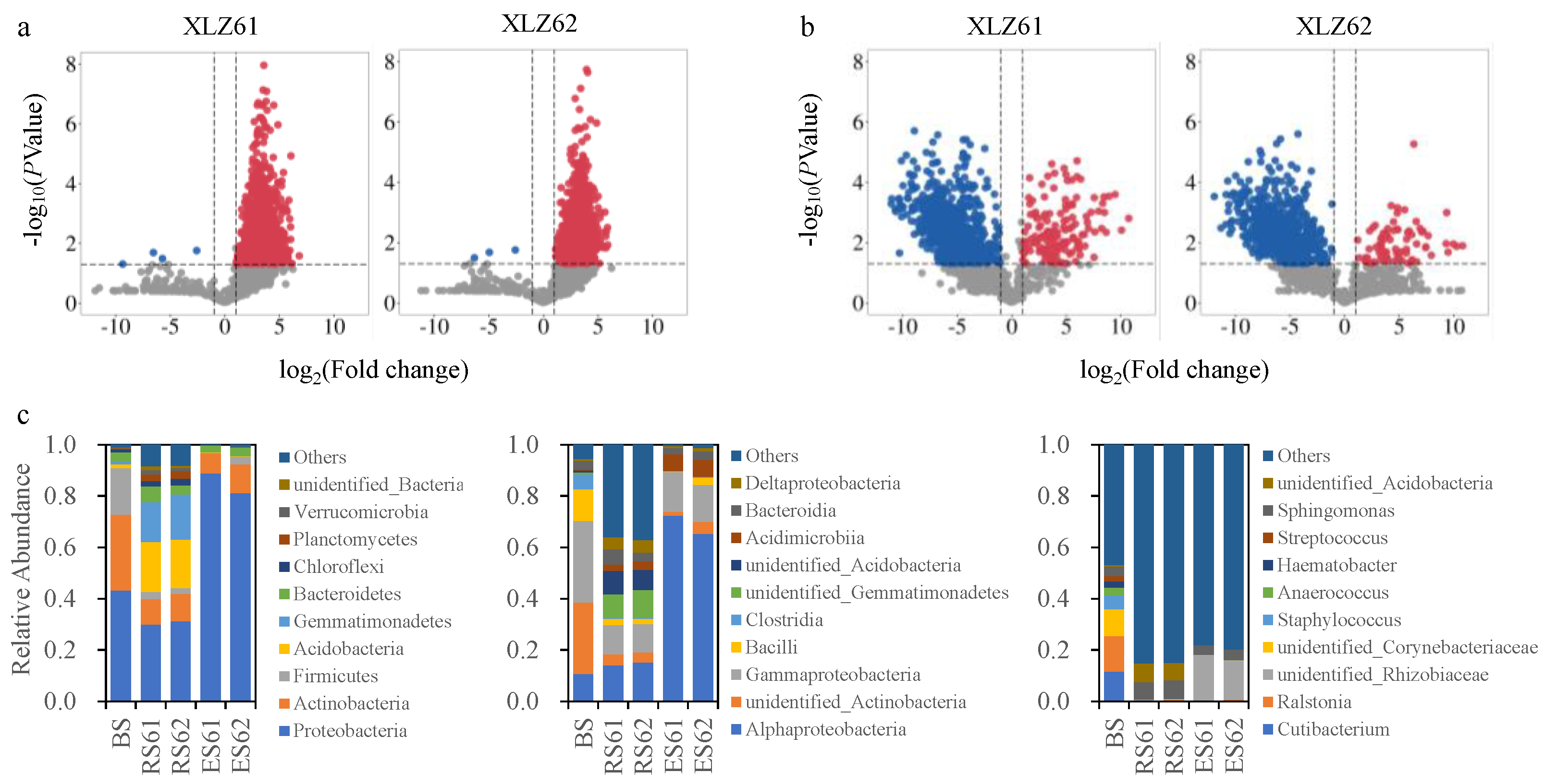 Microorganisms 12 00869 g001