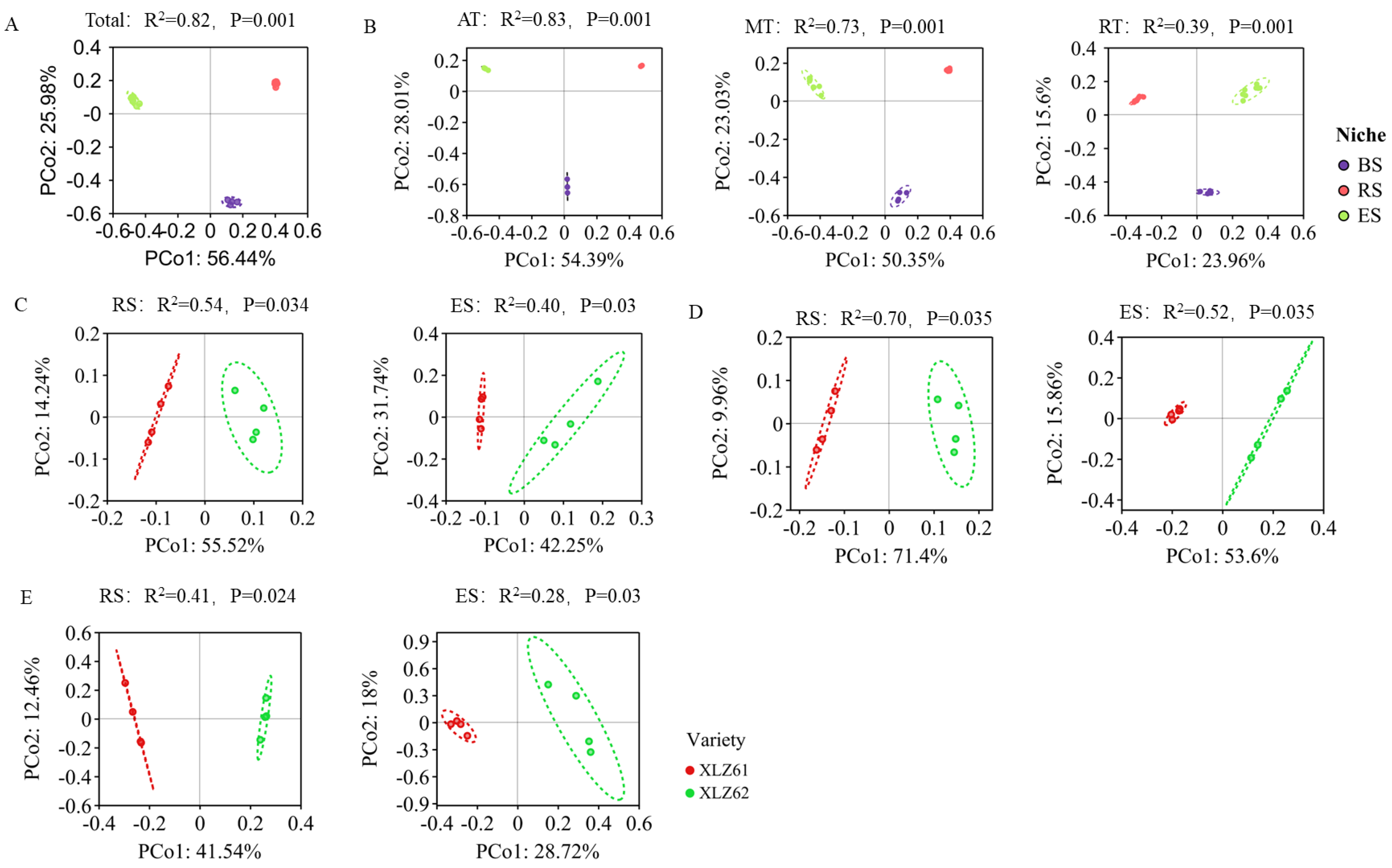 Microorganisms 12 00869 g003