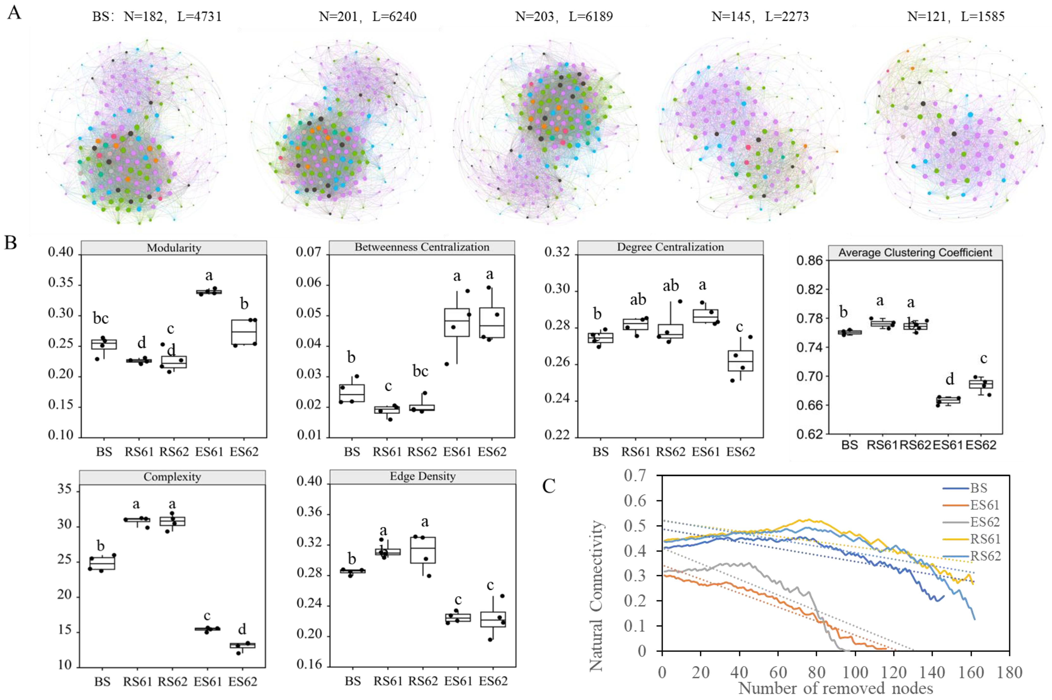 Microorganisms 12 00869 g005