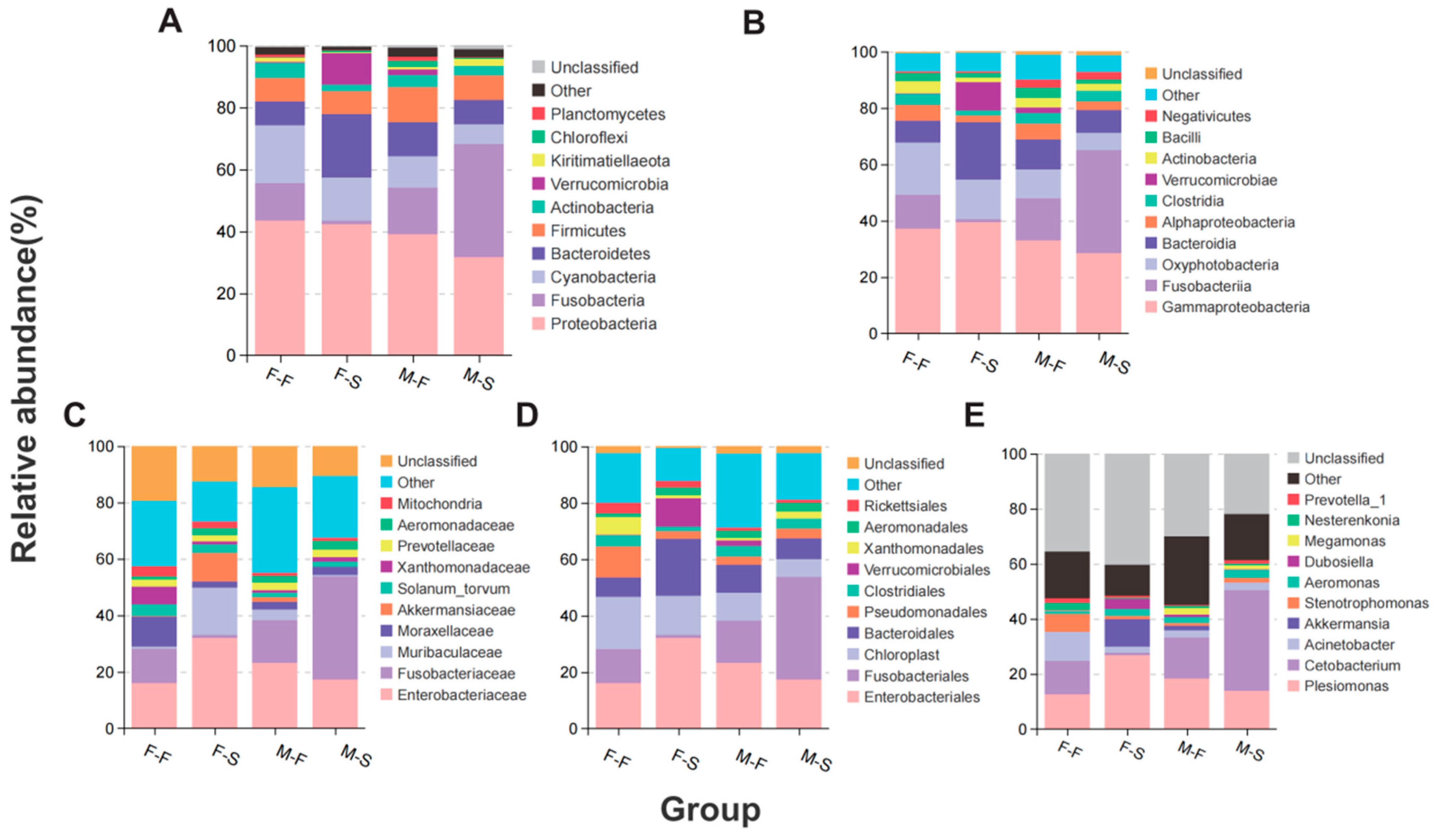 Microorganisms 12 00871 g001