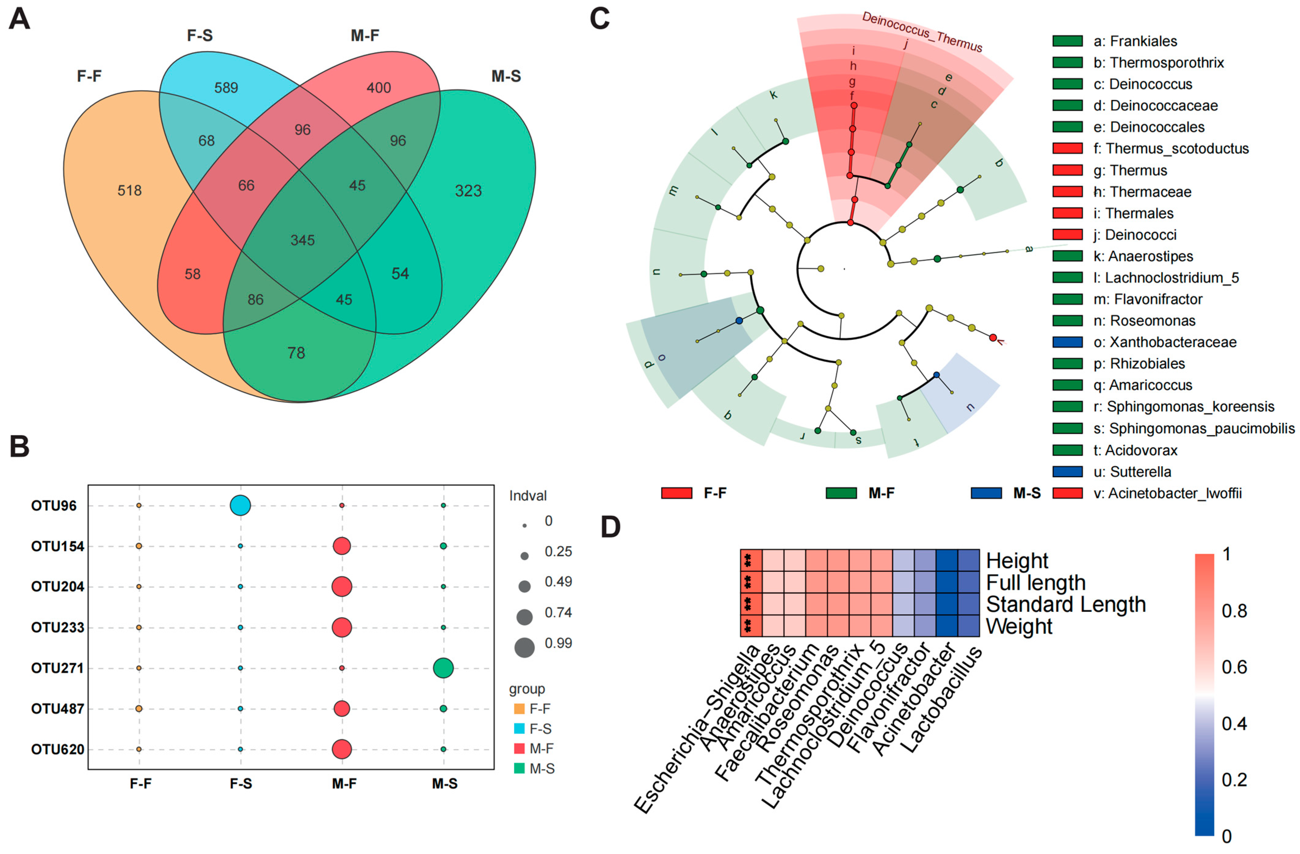 Microorganisms 12 00871 g003