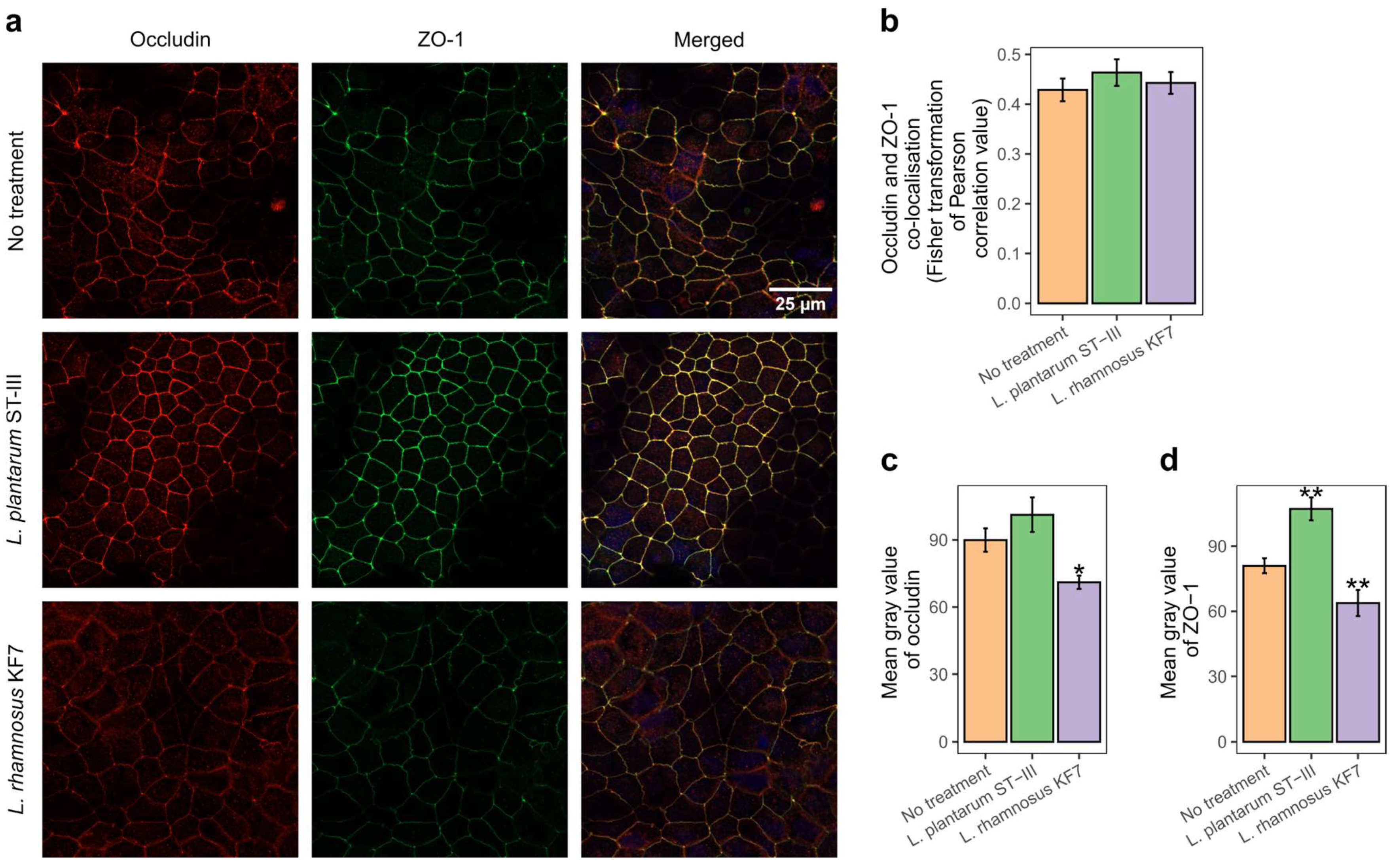 Microorganisms 12 00873 g002 Microorganisms 12 00873 g002