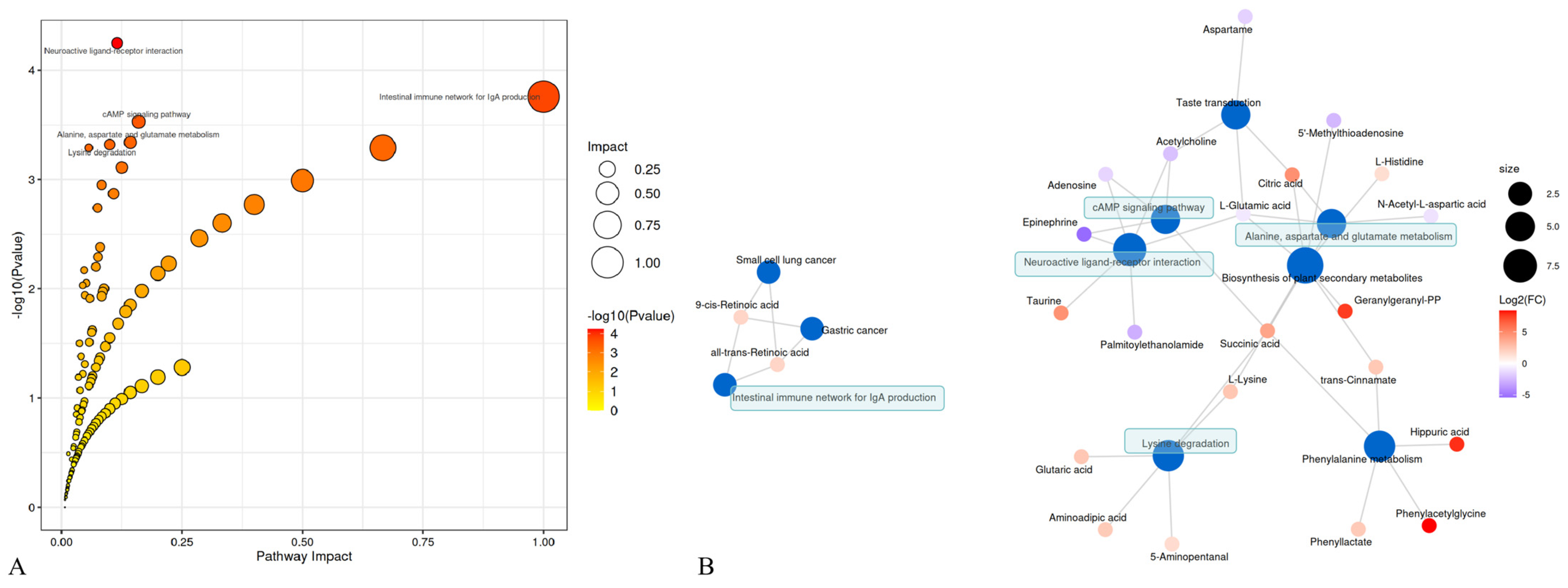 Microorganisms 12 00874 g004