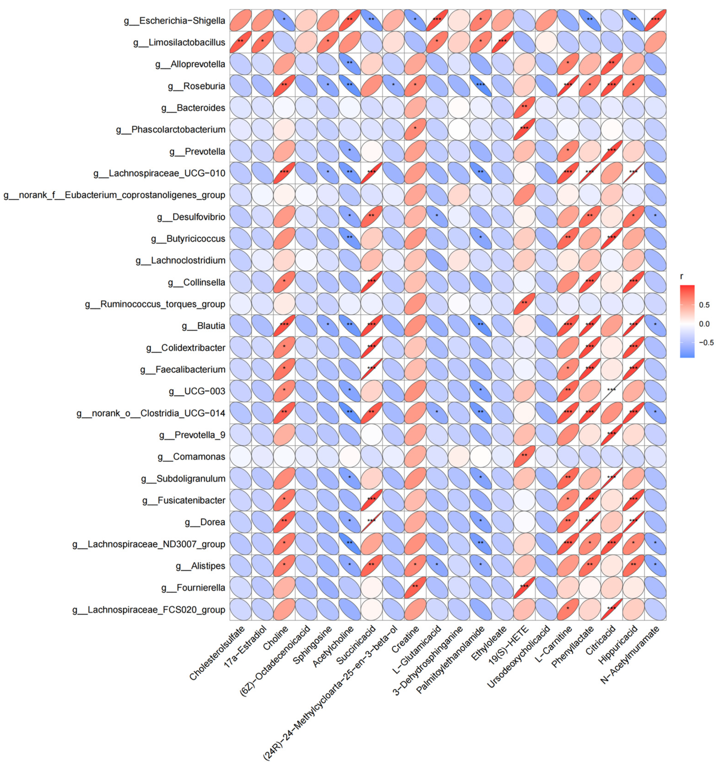 Microorganisms 12 00874 g005