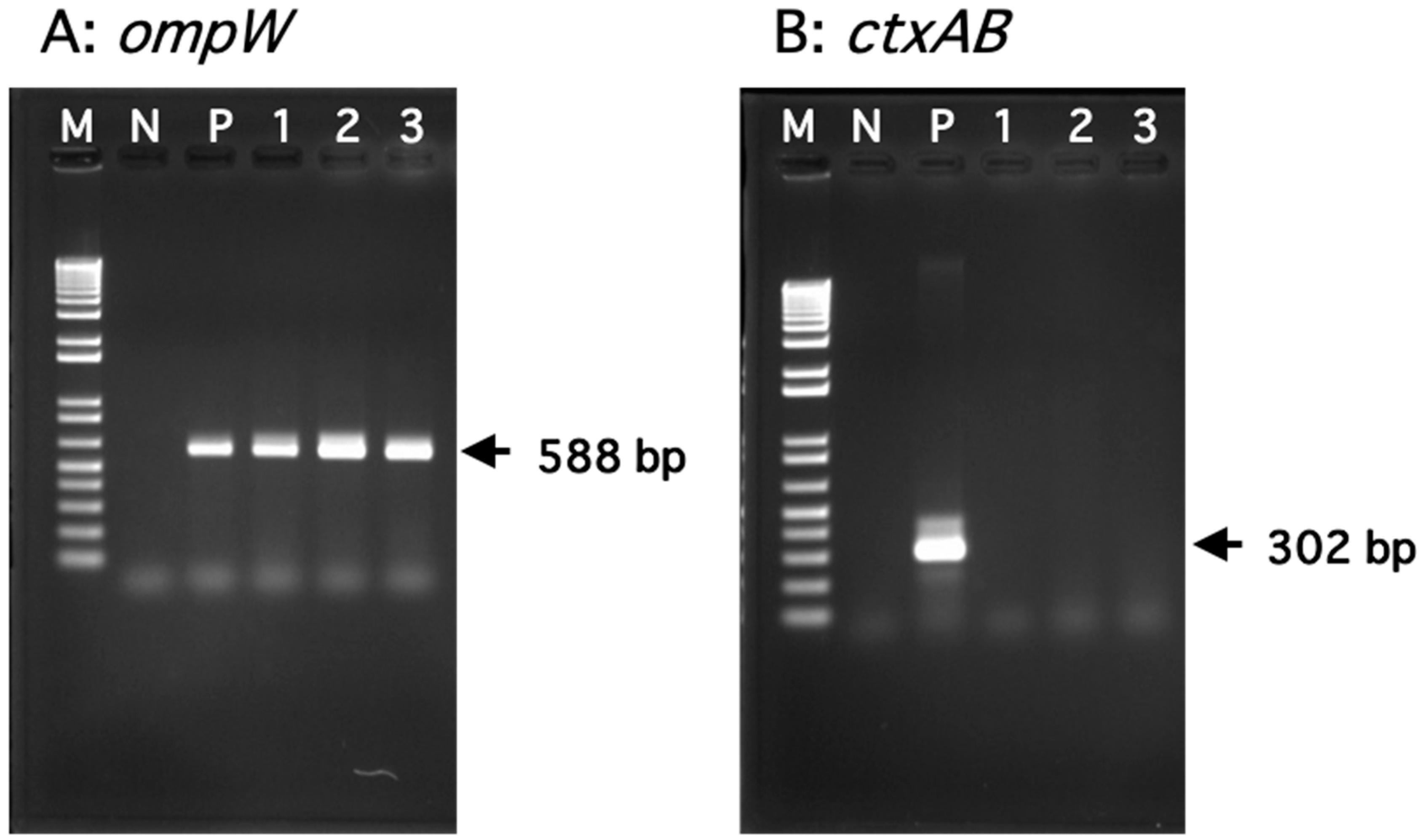 Microorganisms 12 00877 g001