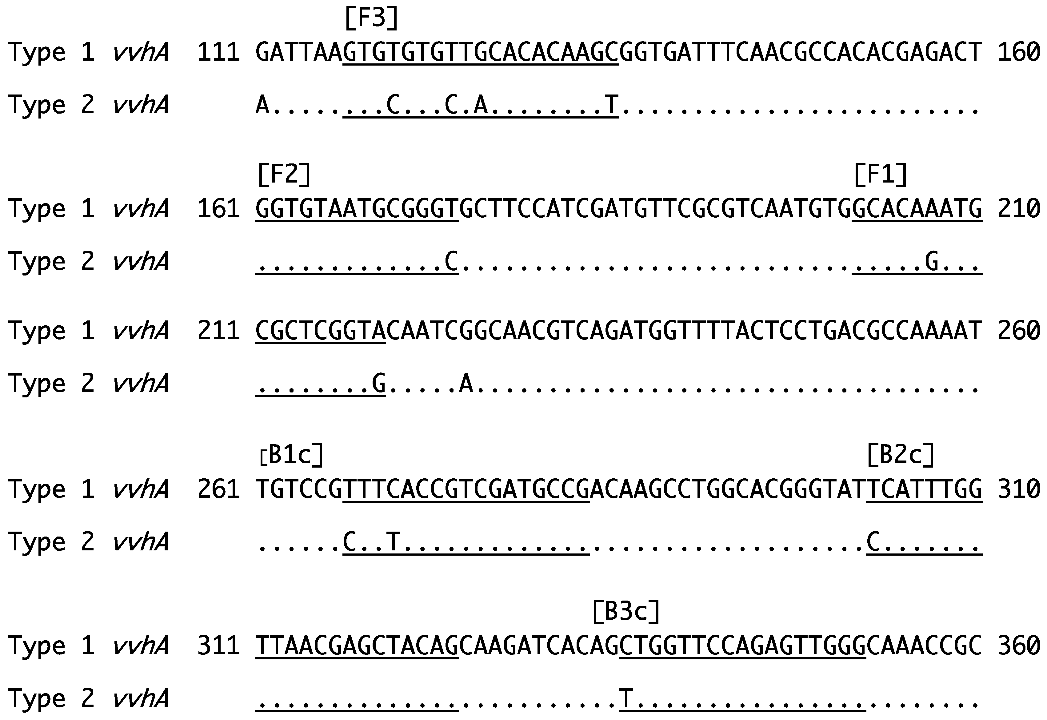 Microorganisms 12 00877 g003