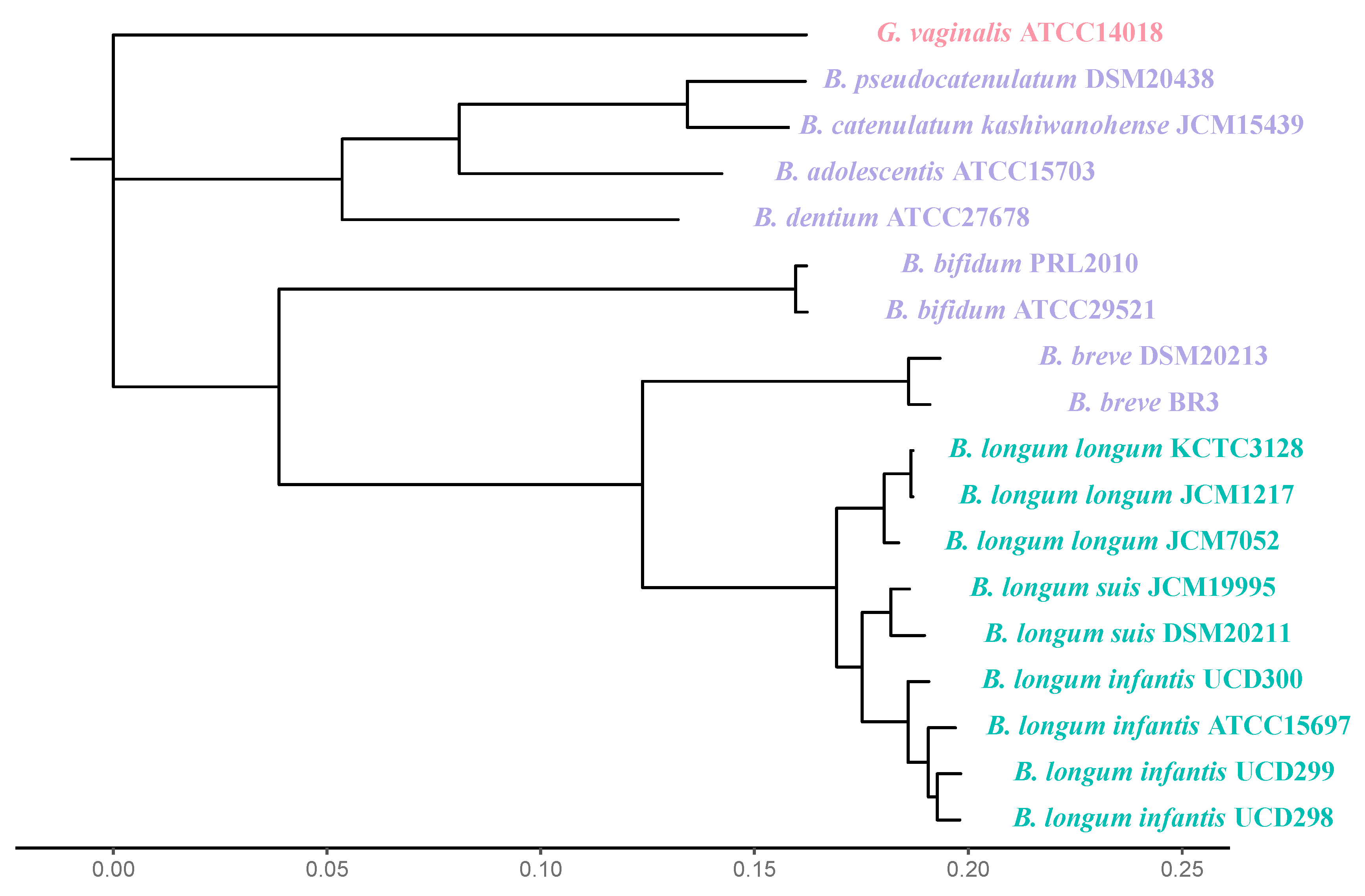 Microorganisms 12 00879 g001