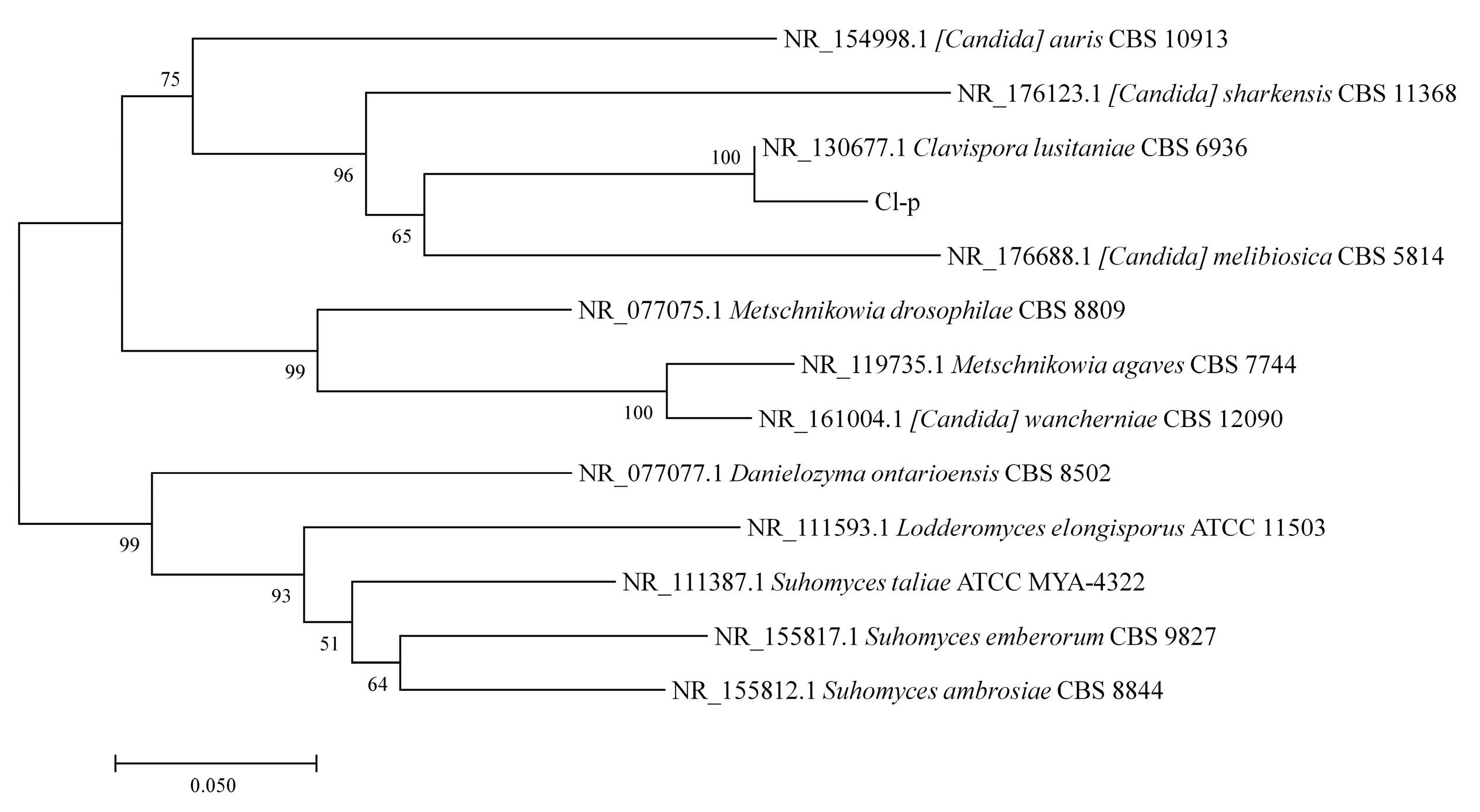 Microorganisms 12 00882 g002 Microorganisms 12 00882 g002