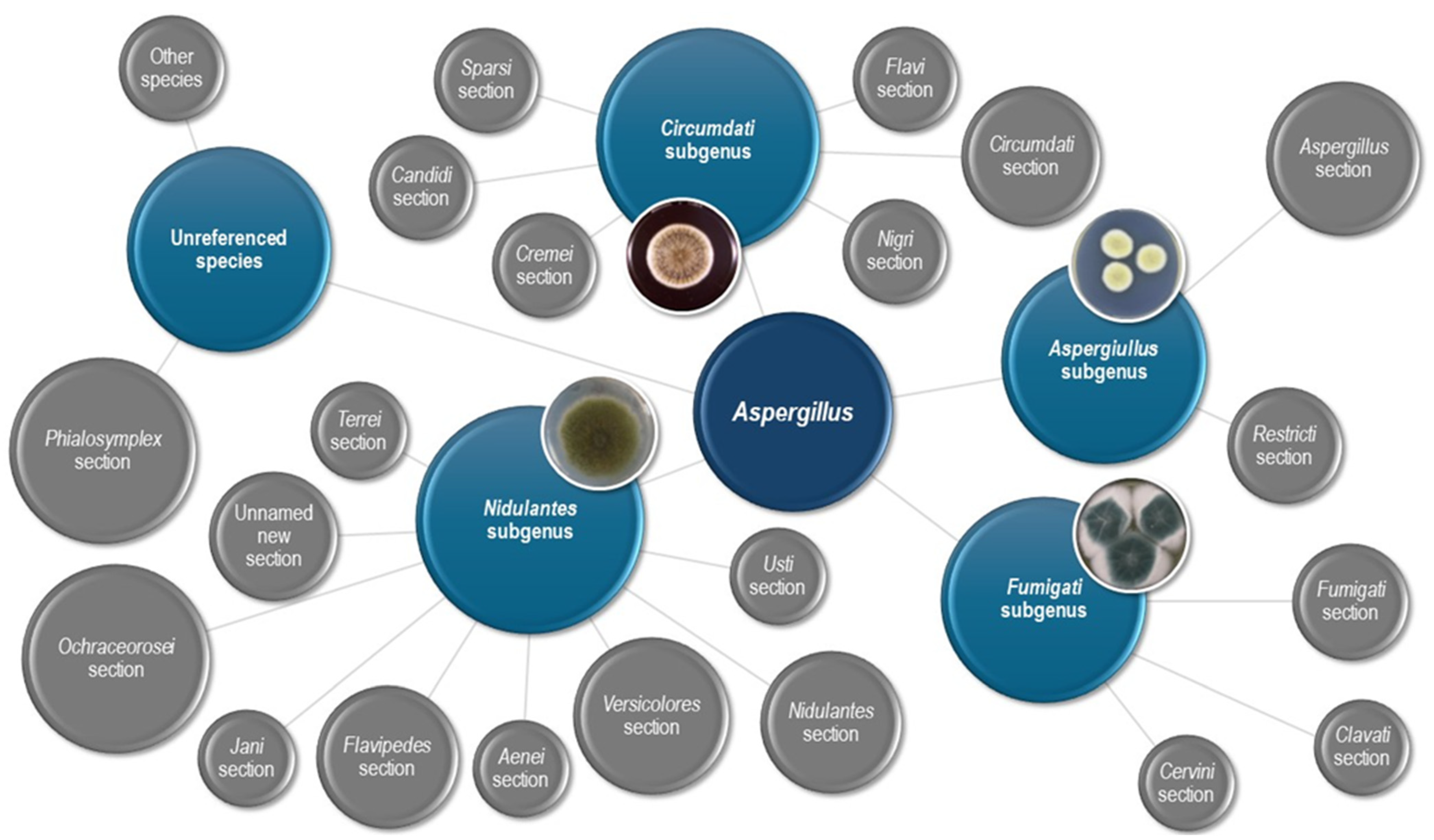 Microorganisms 12 00886 g001 Microorganisms 12 00886 g001