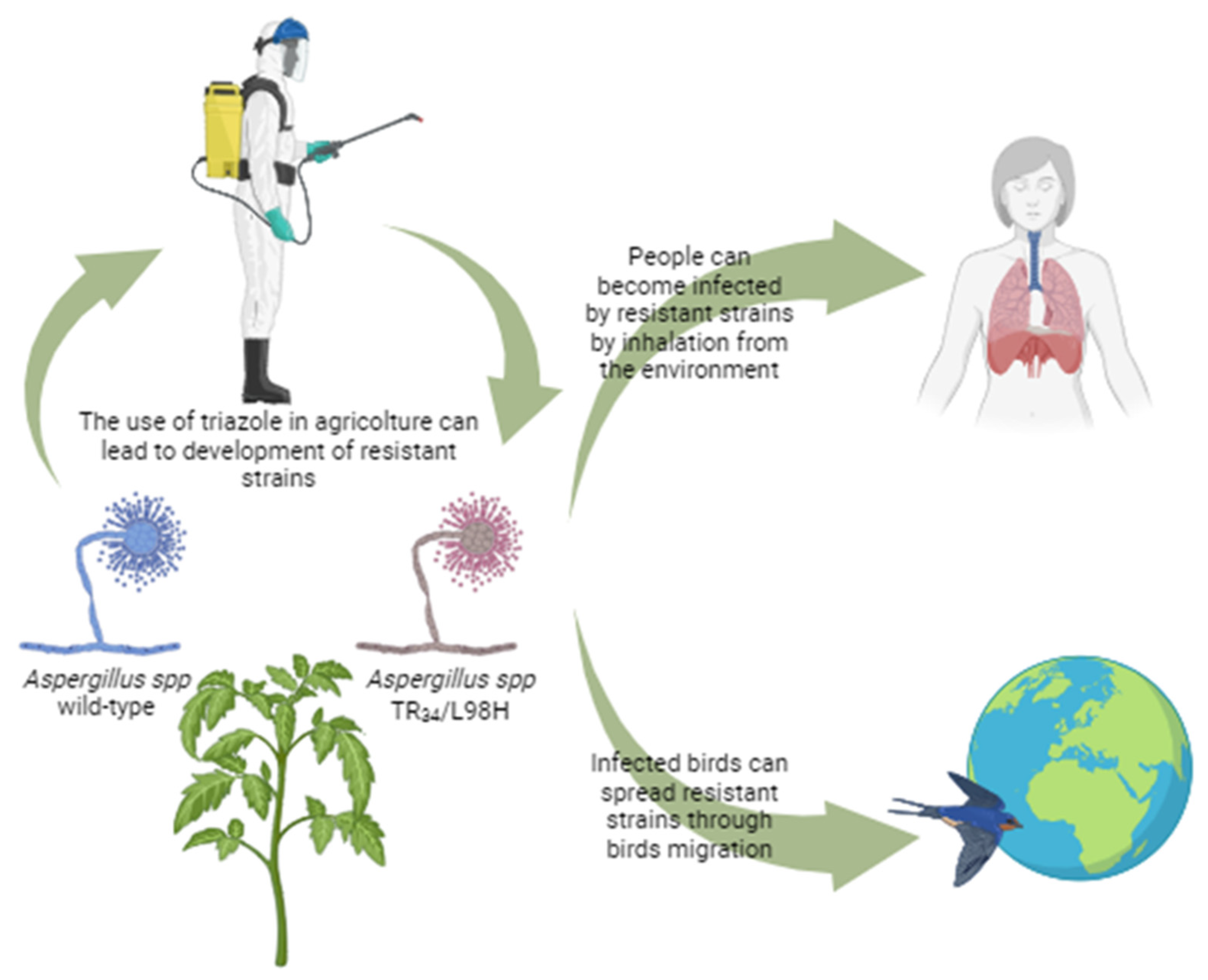 Microorganisms 12 00886 g002 Microorganisms 12 00886 g002