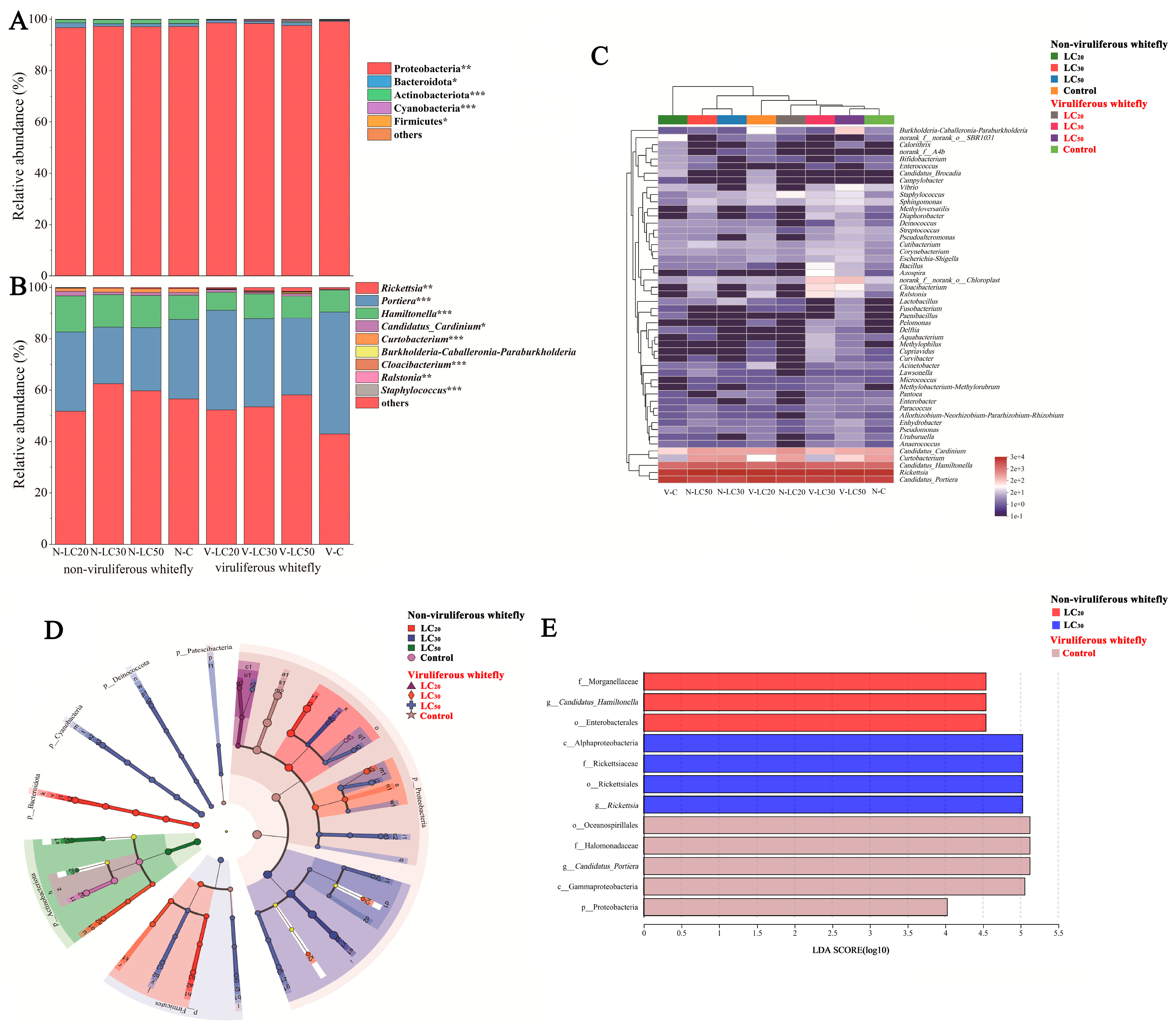 Microorganisms 12 00887 g005