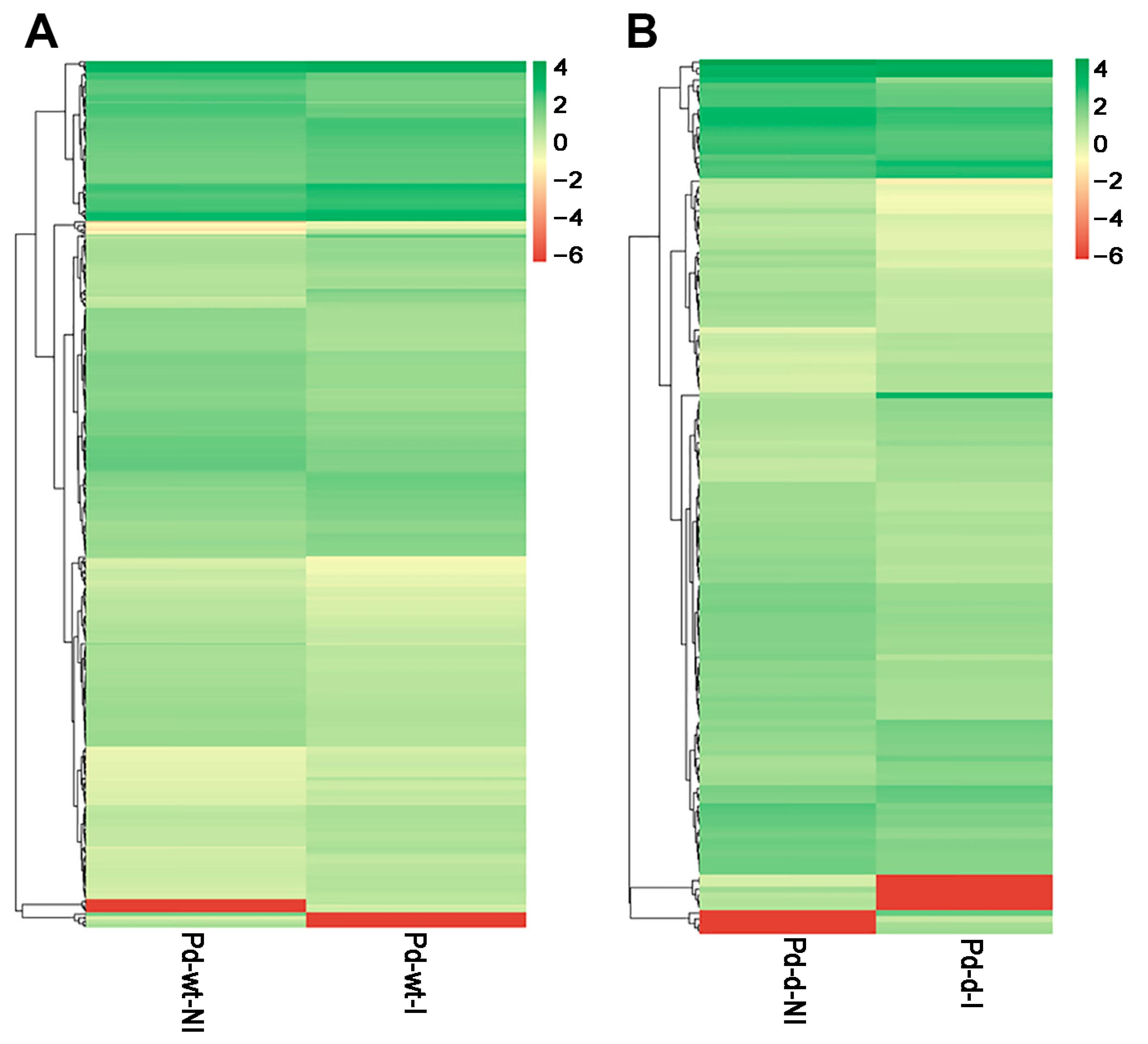 Microorganisms 12 00888 g004 Microorganisms 12 00888 g004