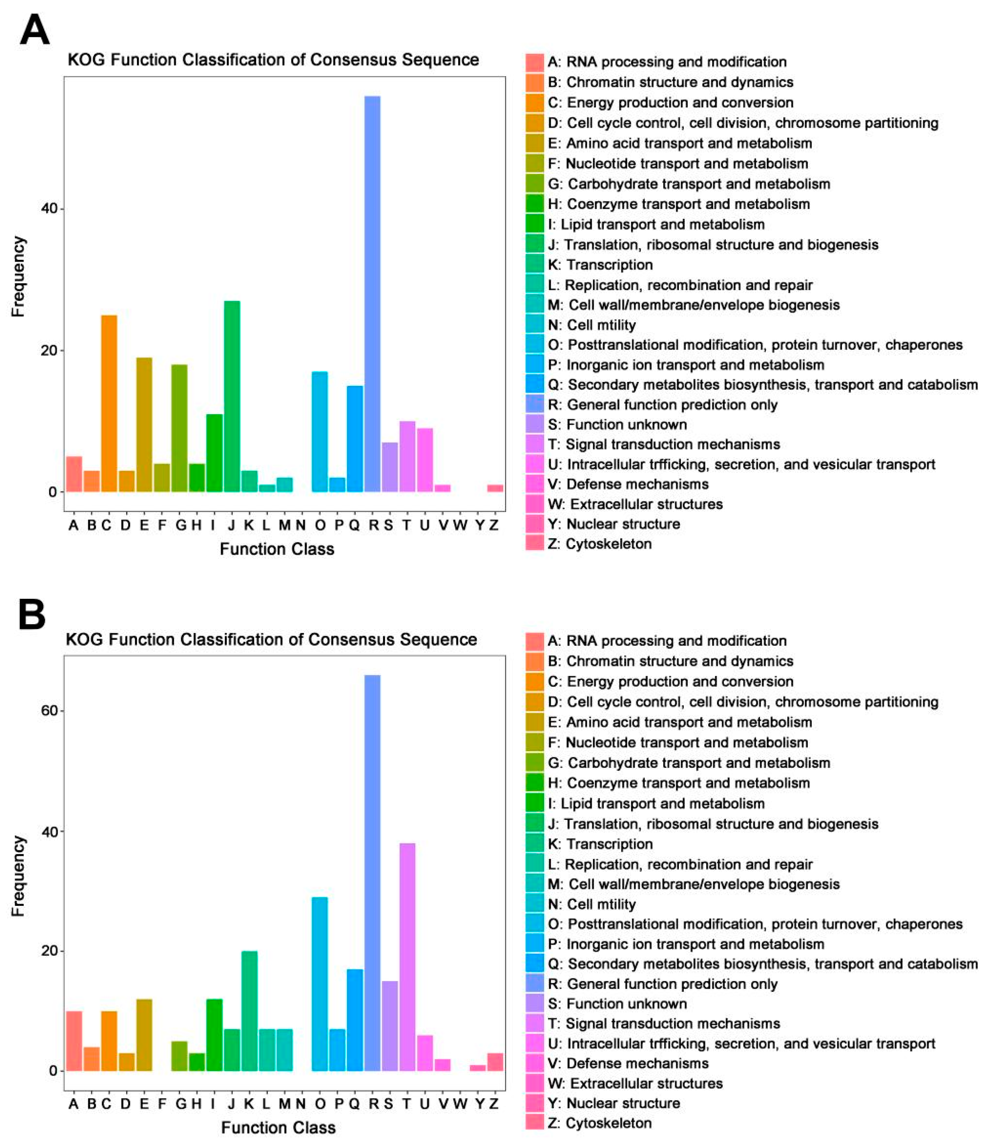Microorganisms 12 00888 g008 Microorganisms 12 00888 g008