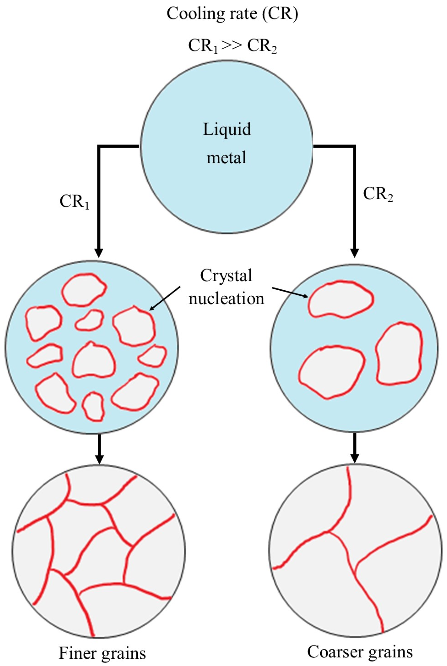 Microorganisms 12 00892 g003