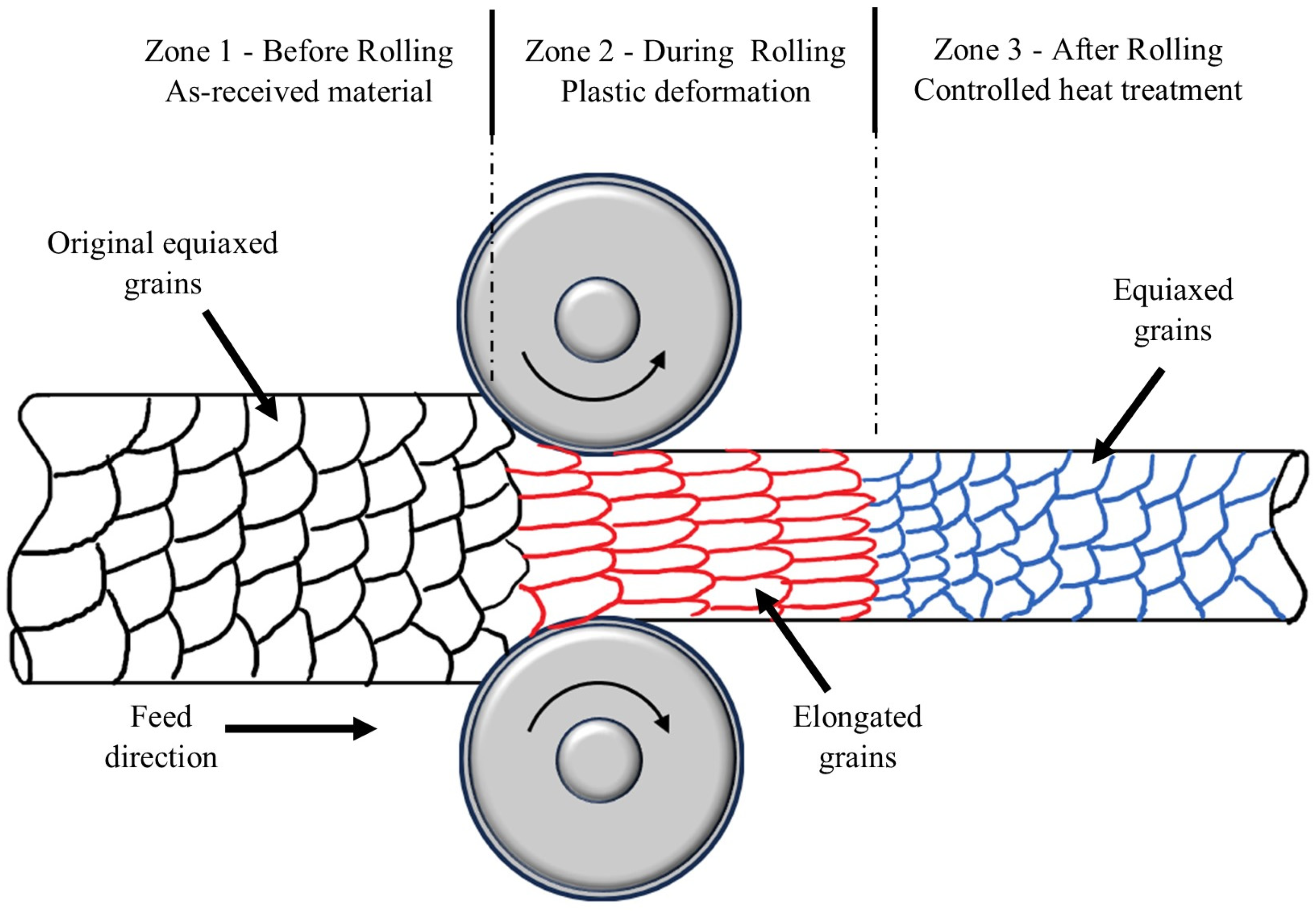 Microorganisms 12 00892 g004