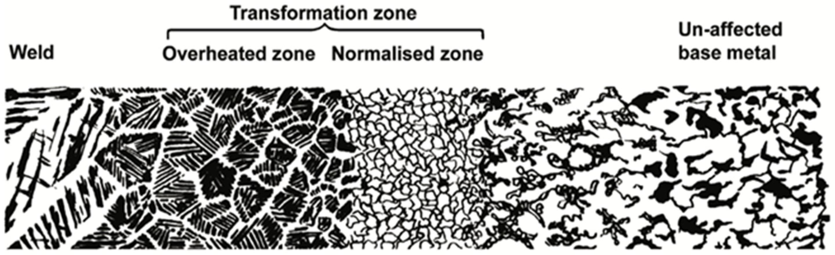 Microorganisms 12 00892 g007