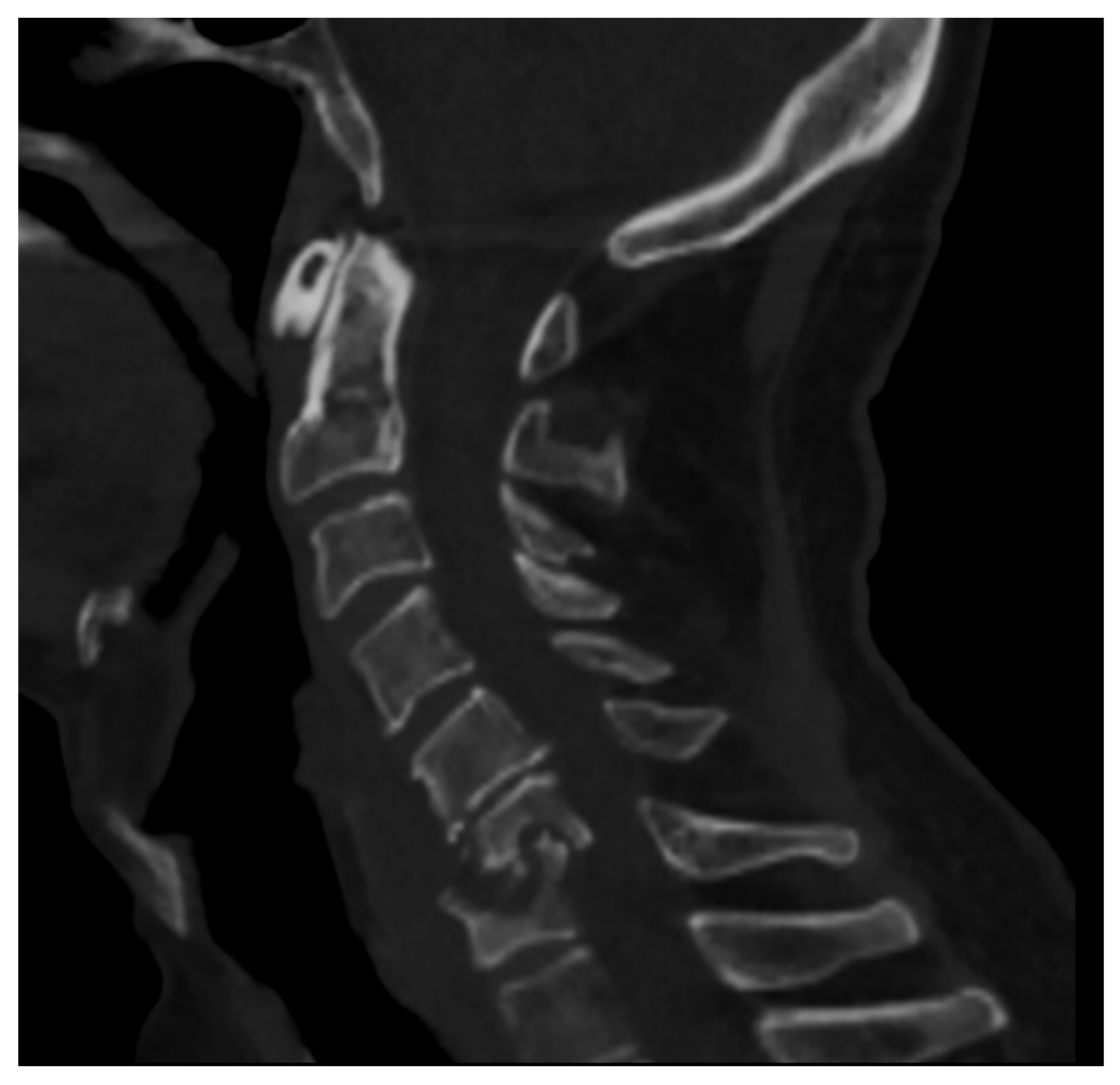 Microorganisms 12 00893 g001