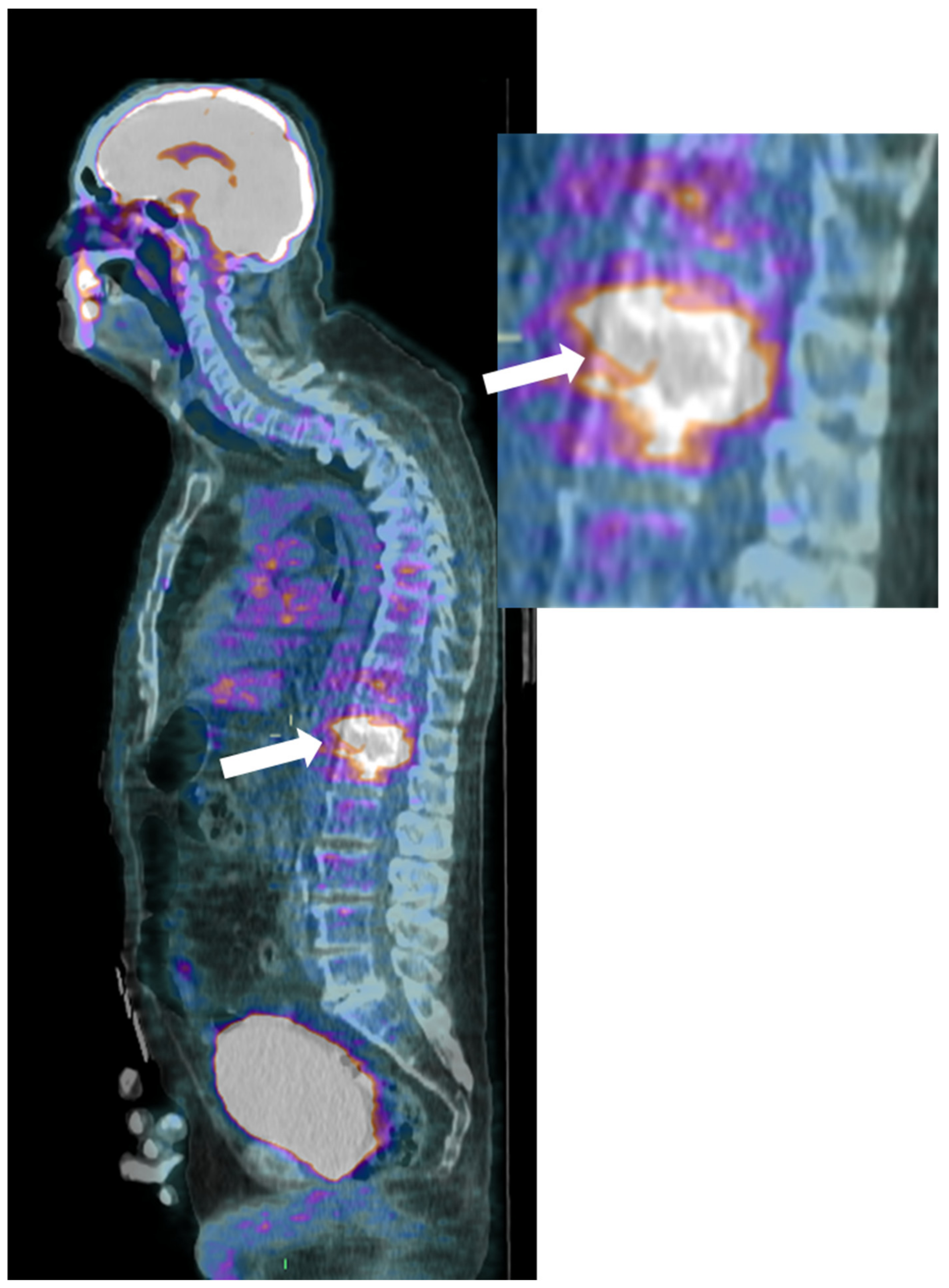 Microorganisms 12 00893 g005