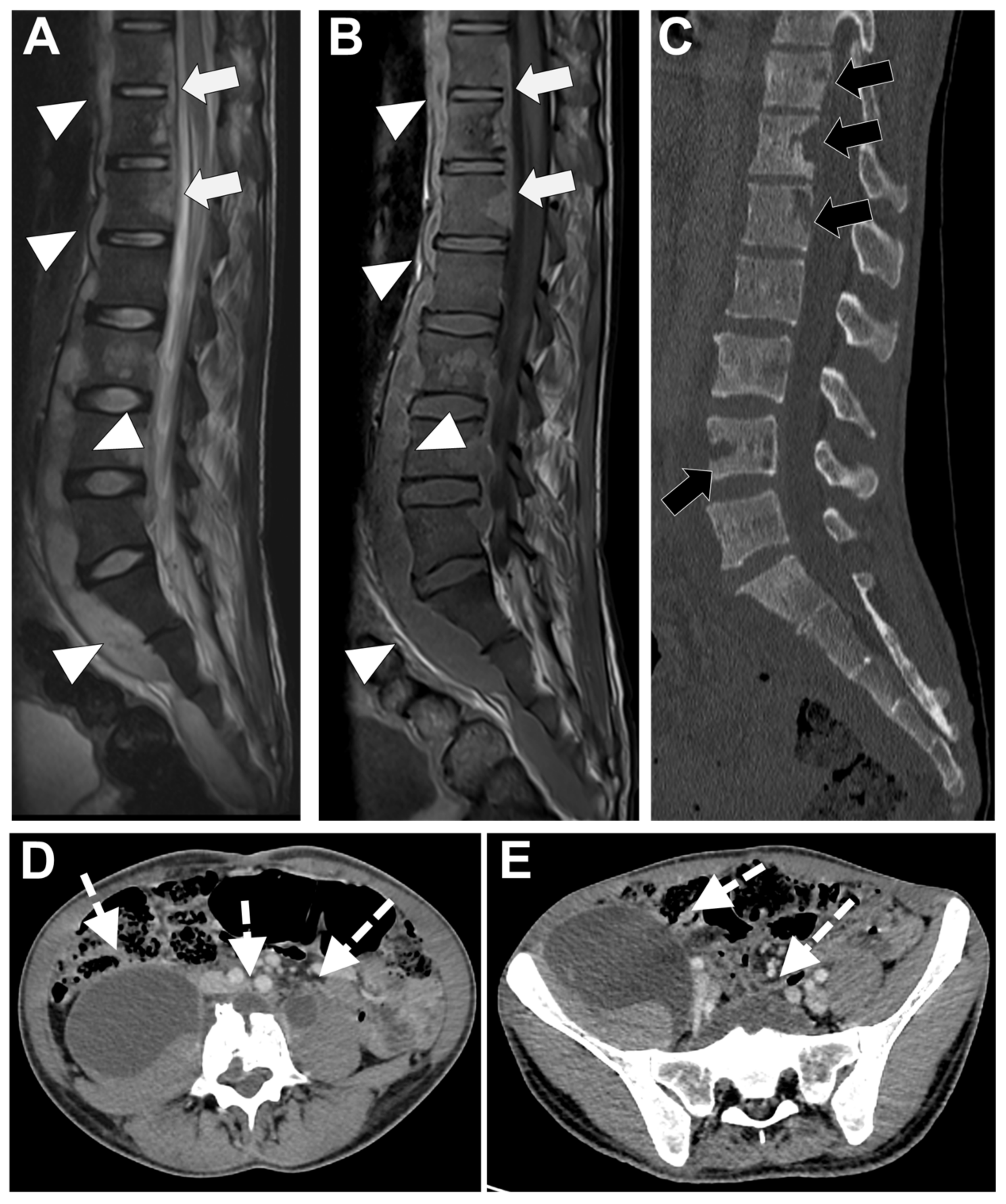 Microorganisms 12 00893 g006