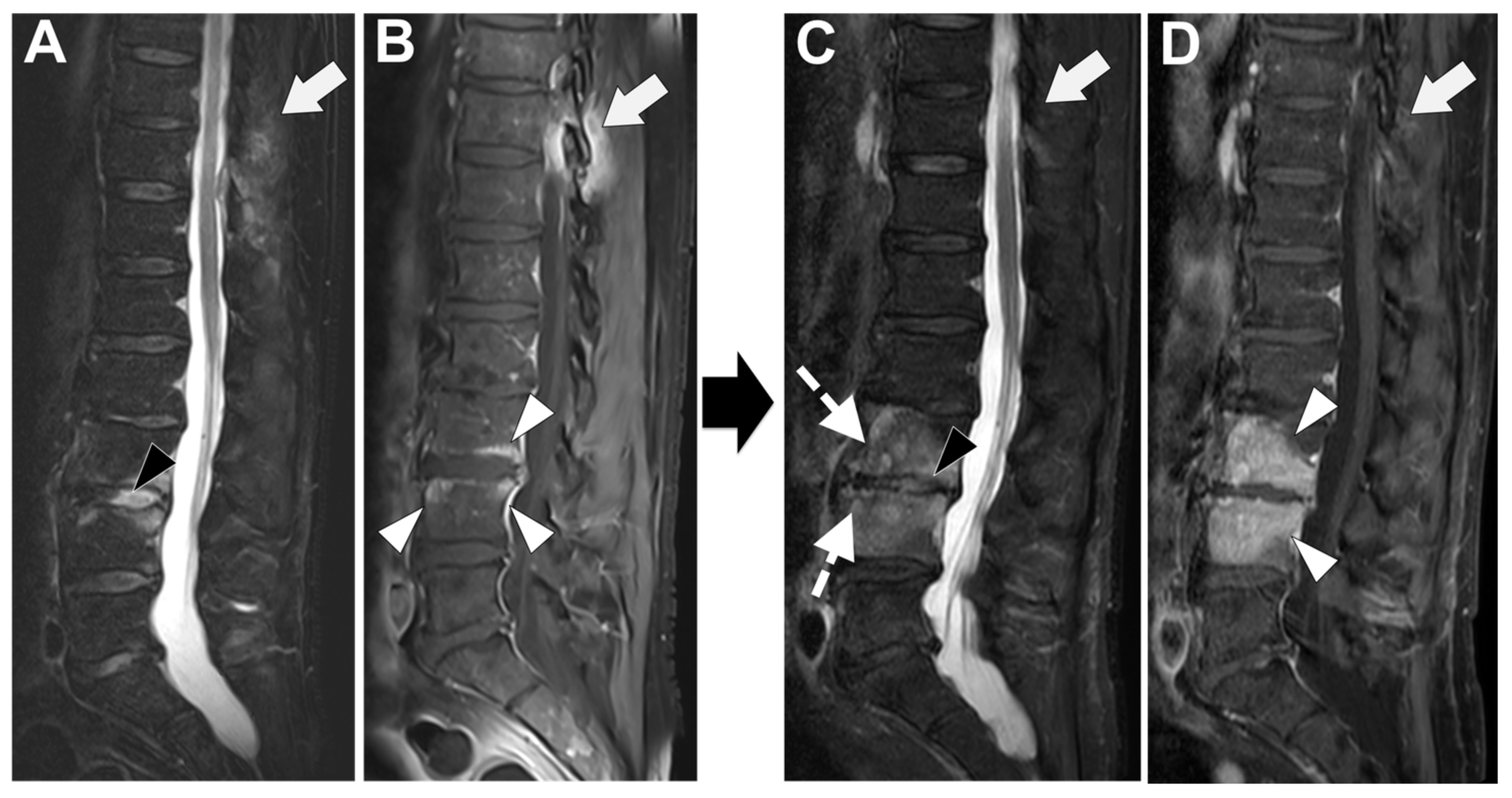 Microorganisms 12 00893 g007