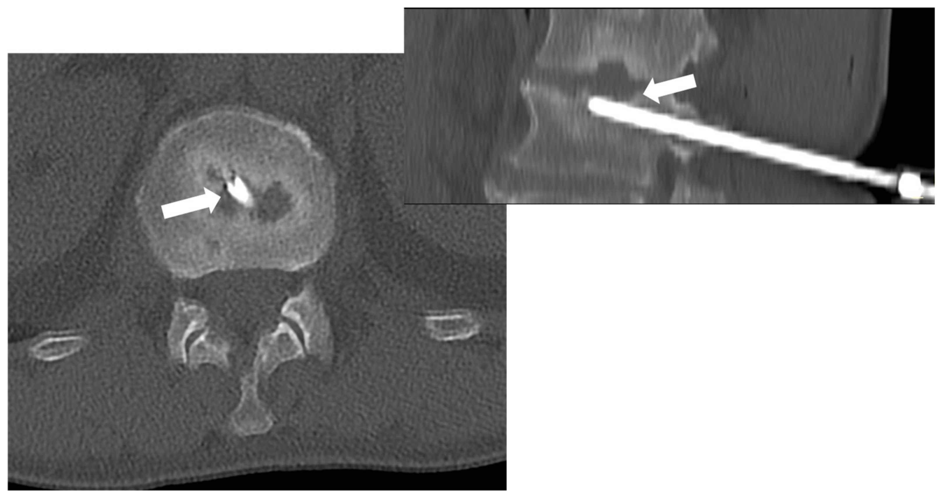 Microorganisms 12 00893 g008